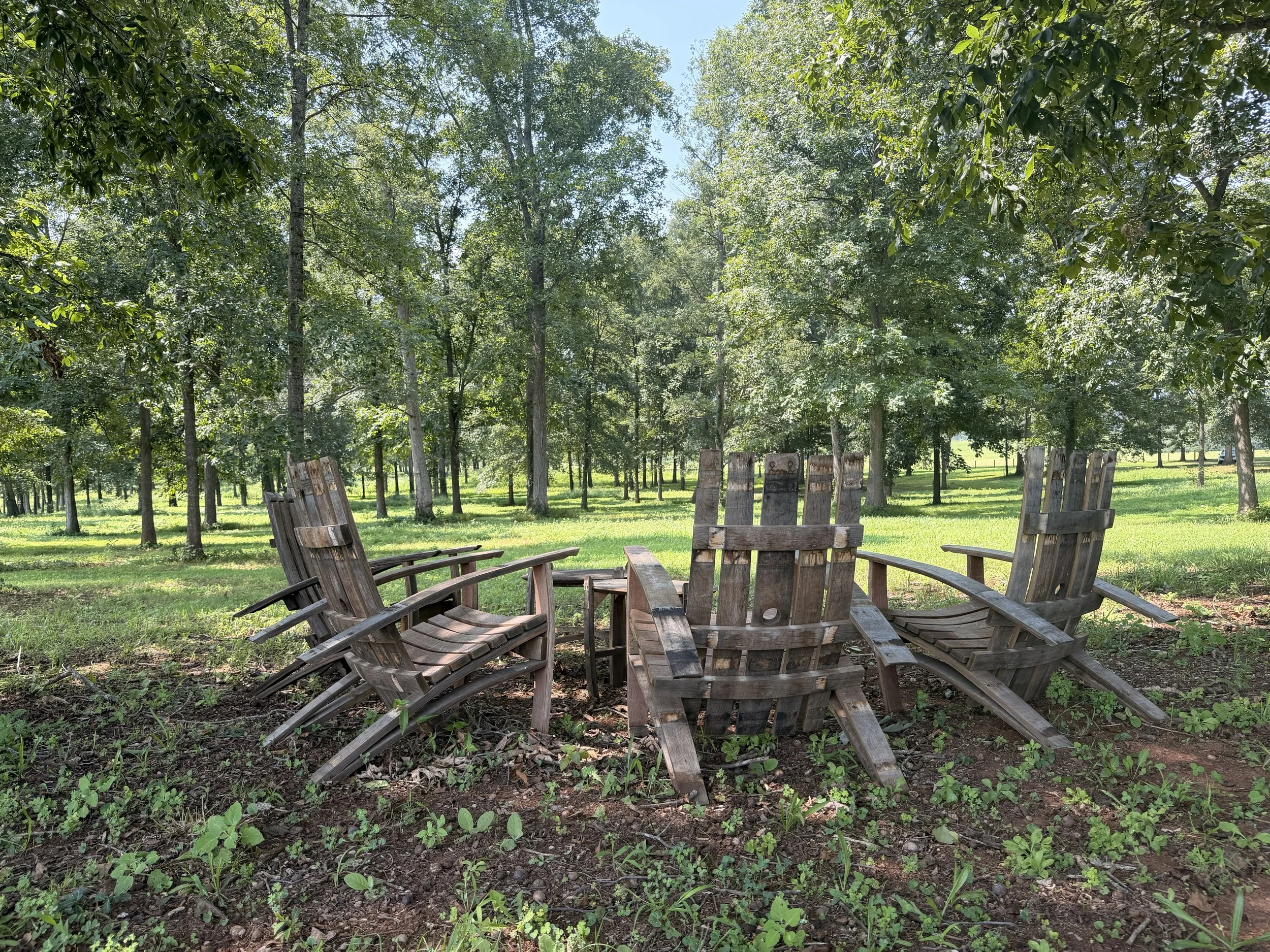A circle of weathered wooden chairs surrounding a small fire pit in a lush green park with tall trees and sunlight filtering through the leaves.