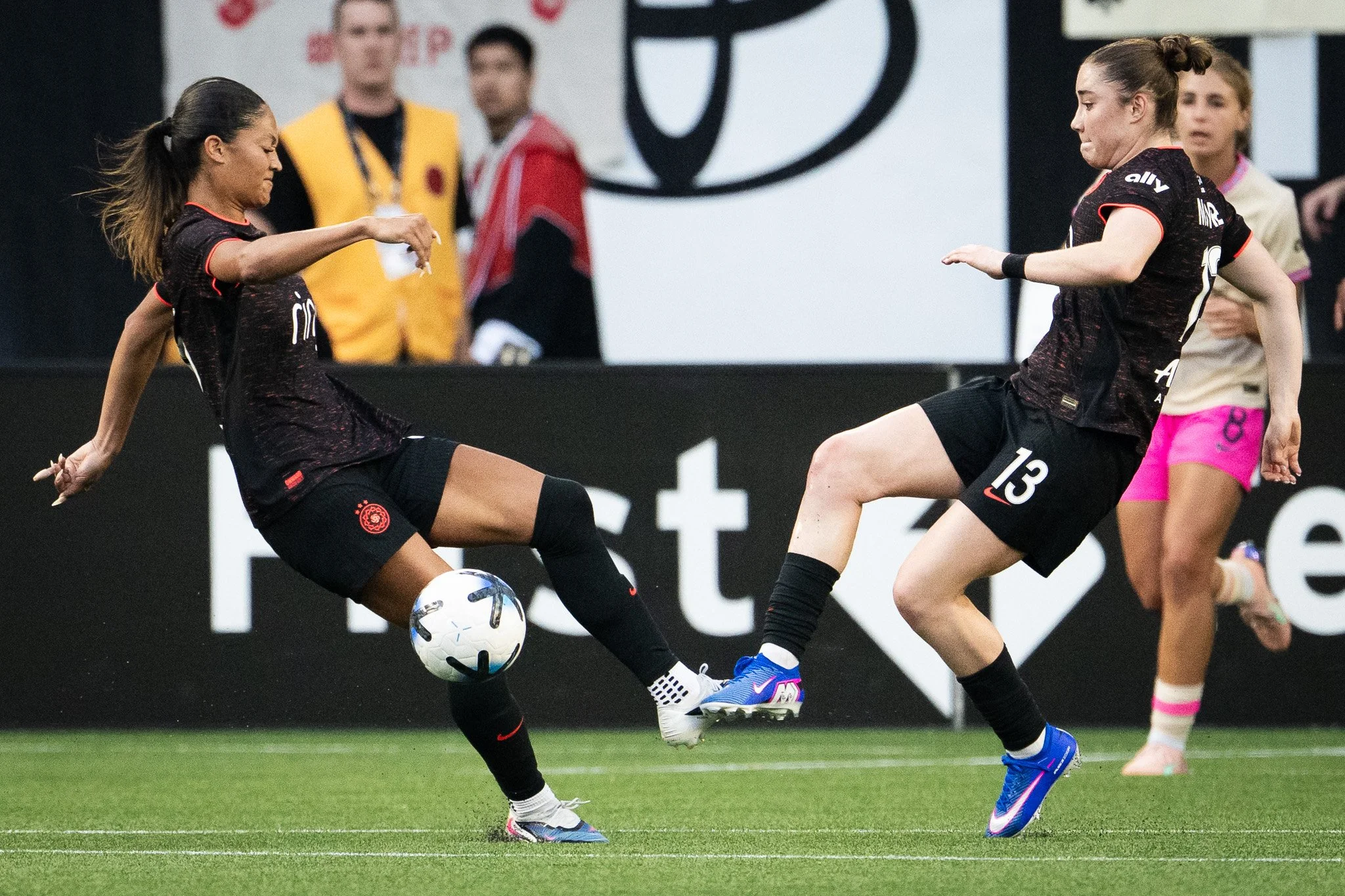 NZ8_9030-2.jpg
