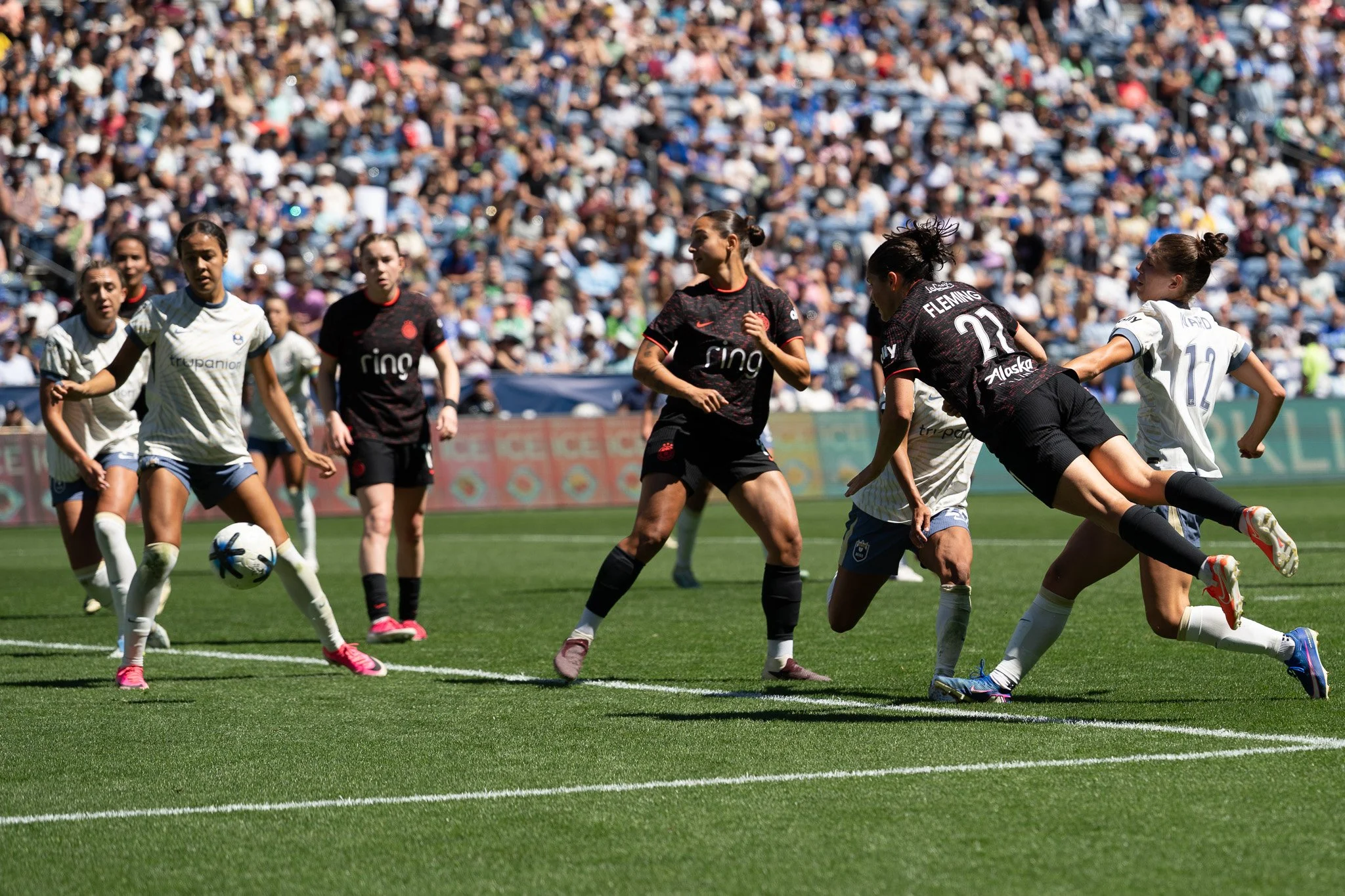 NZ8_4767.jpg
