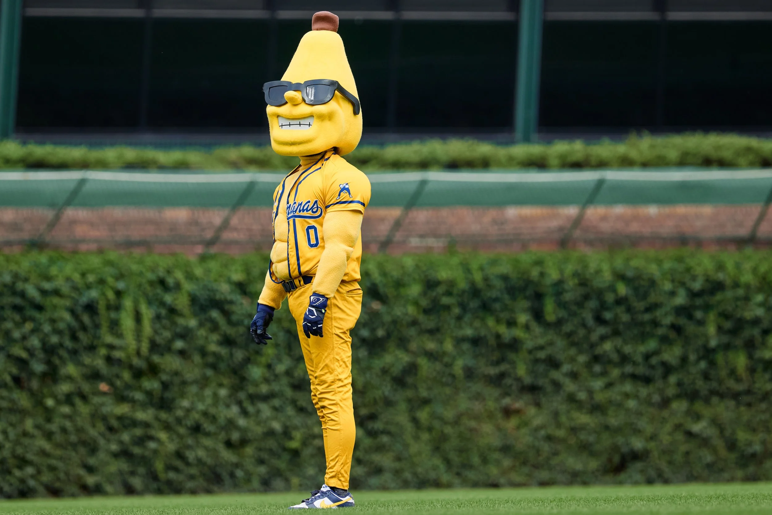 Bnanas 123.jpg
