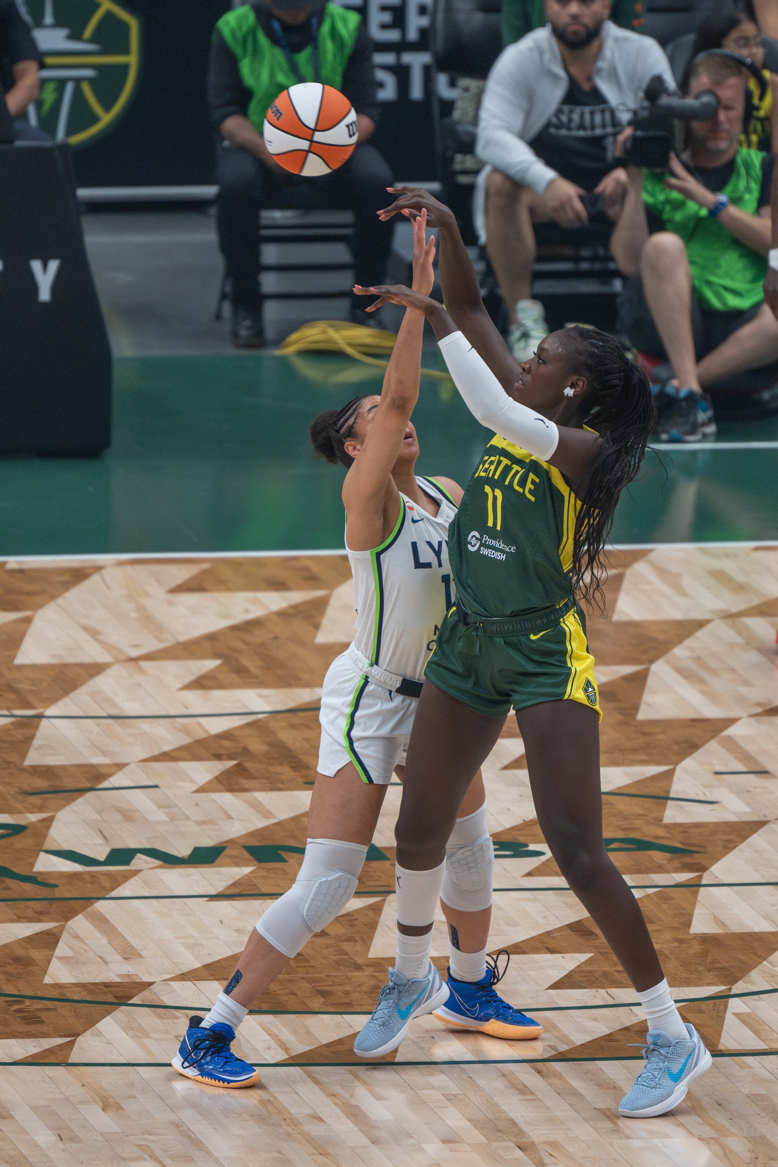 Rhampton-Storm-Lynx-7.jpg