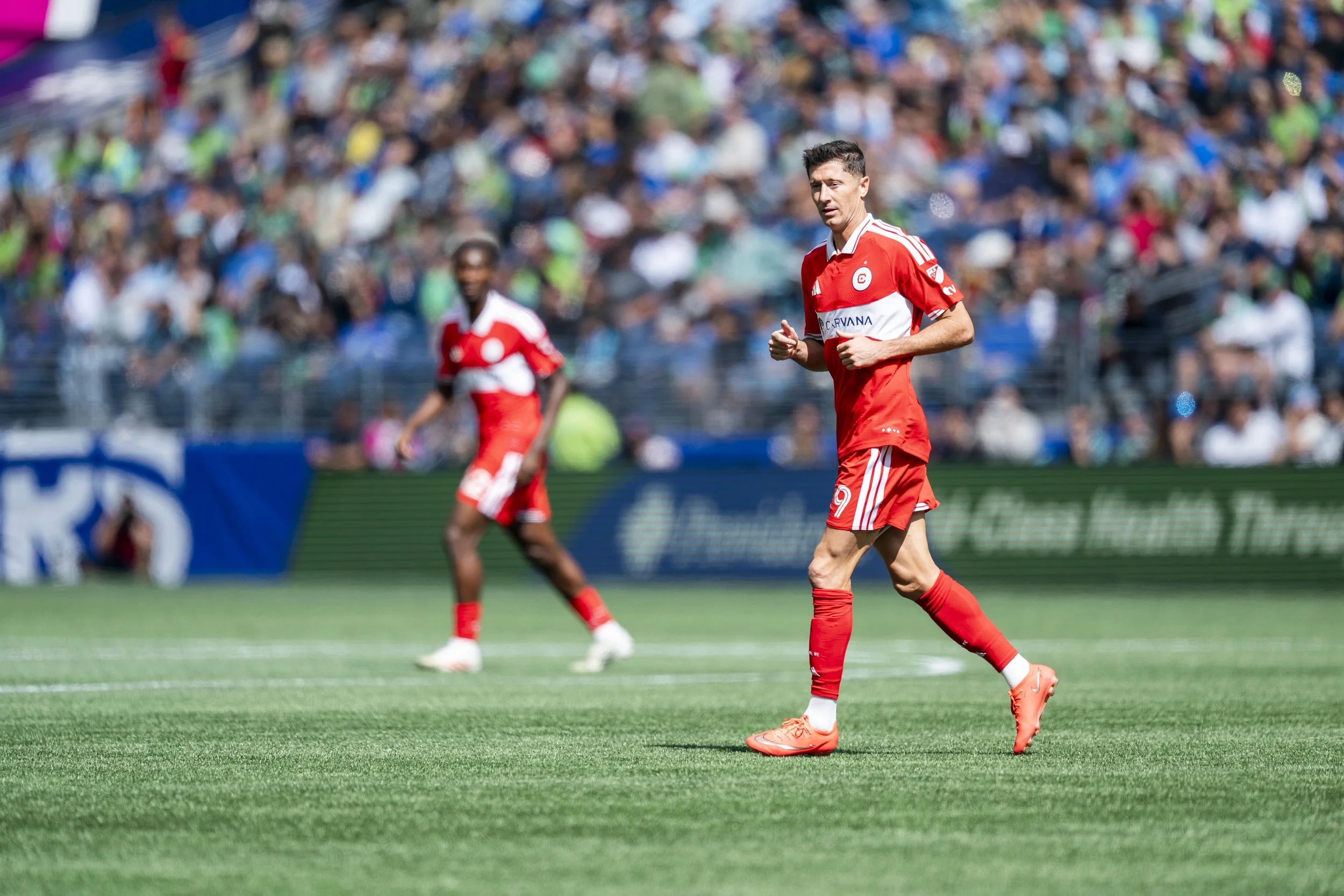 SFCVSCF0456.jpg