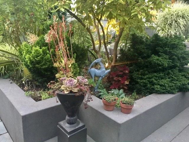 Designed by Hannan Garden Design