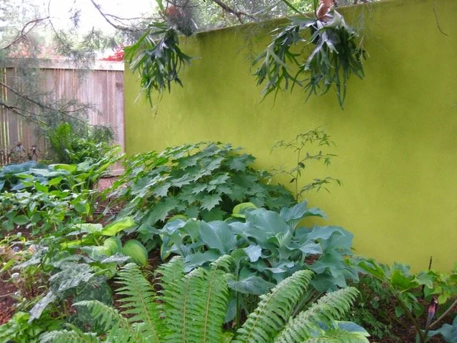 Designed by Lucy Hardiman and Linda Hannan