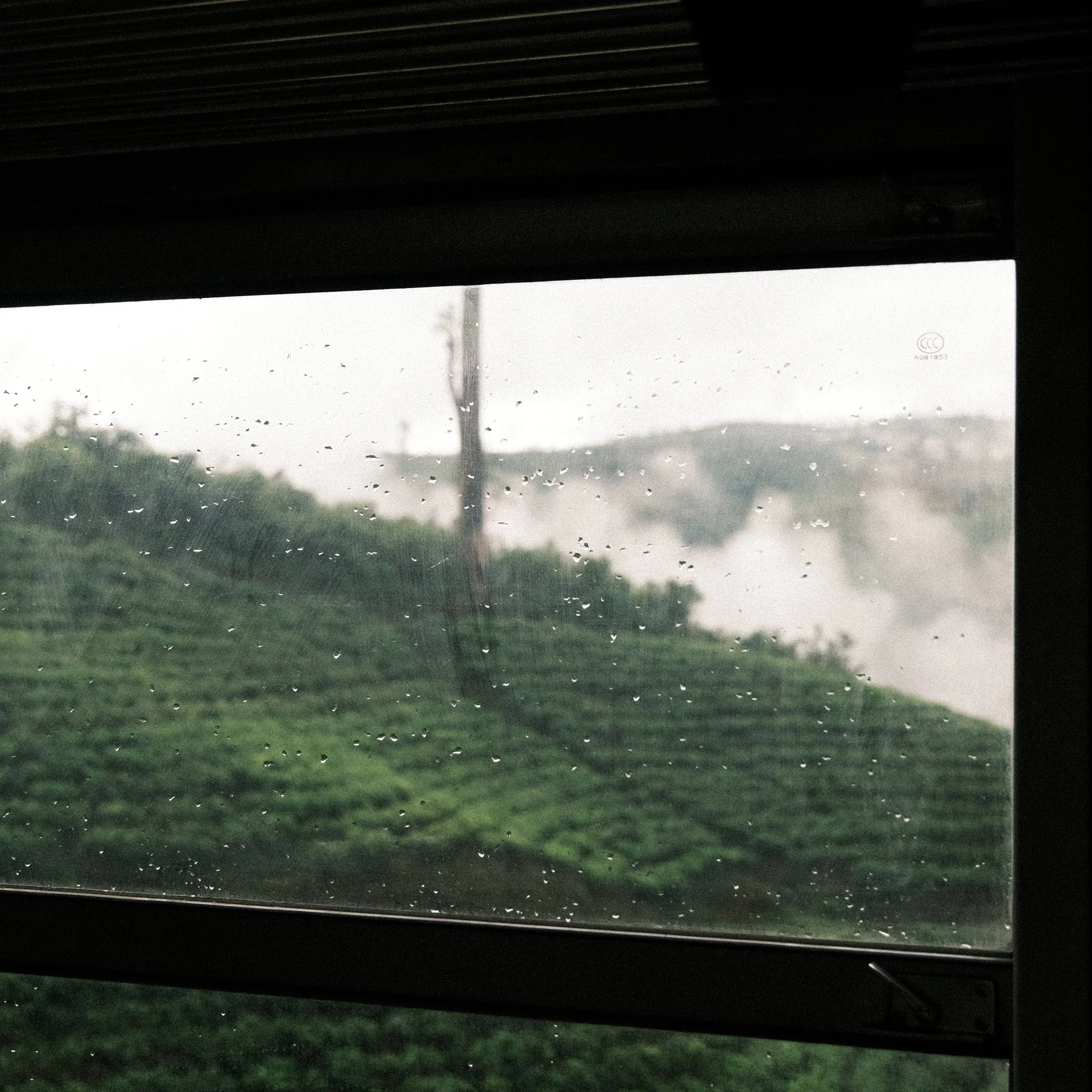Cultivo de té en Sri Lanka desde el tren entre Ella y Kandy