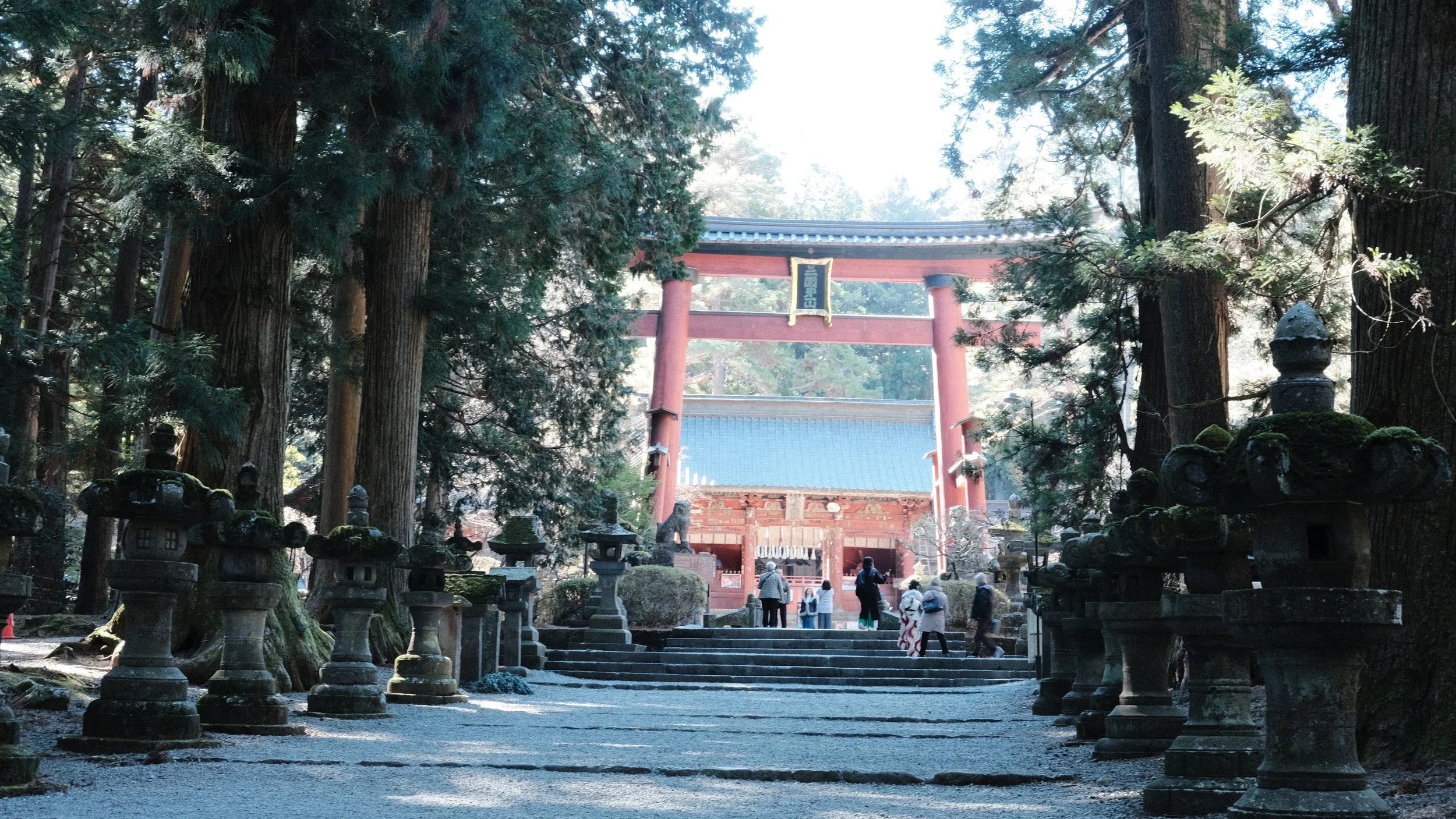 Sendero en Japón con linternas de piedra y puerta torii al fondo.