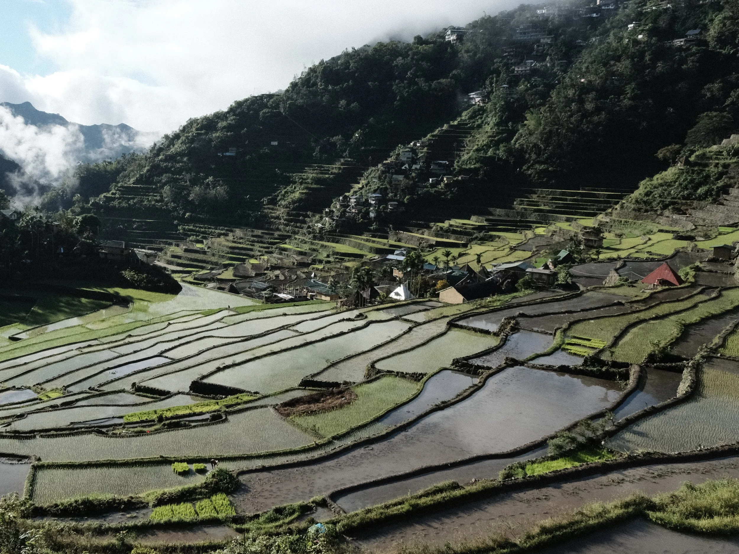 Terrazas de arroz de Batad en las Filipinas.