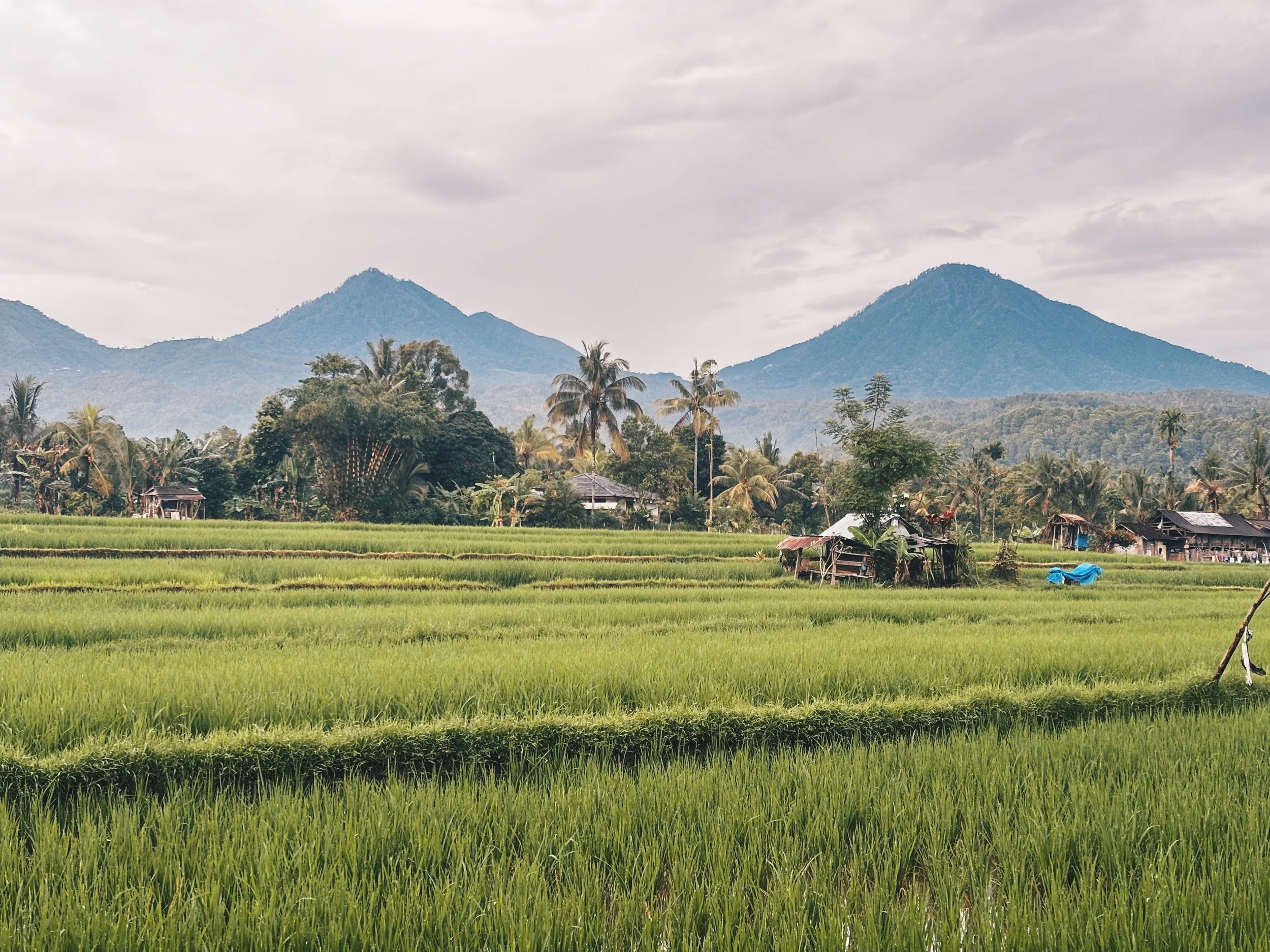 Itinerario de un Día Perfecto en Bali: Del Azul Profundo al Verde Infinito