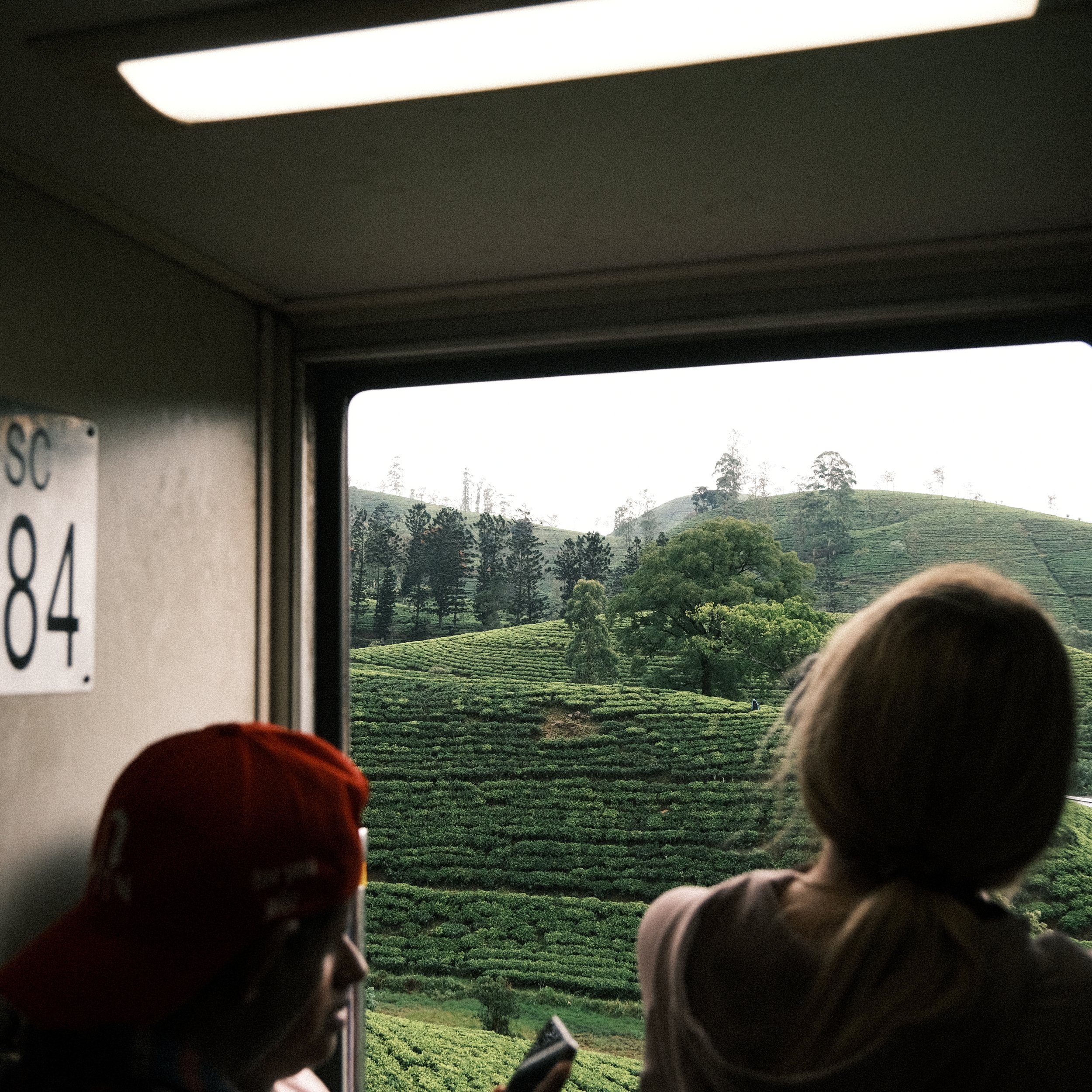 Ella a Kandy en Tren: Atravesando el Corazón del País del Té, Sri Lanka (En Fotos)
