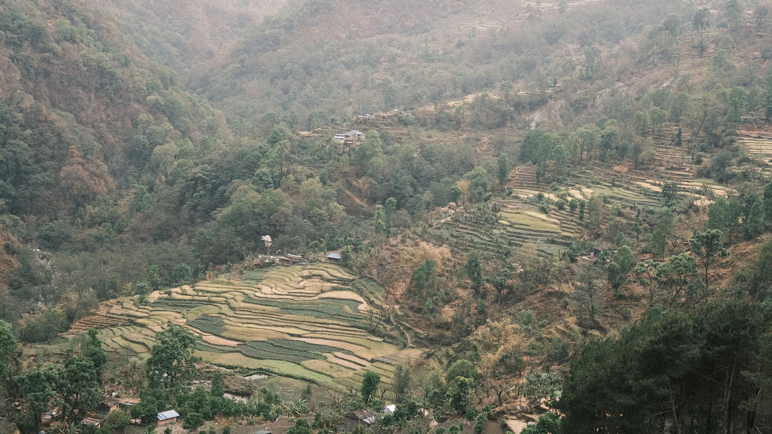 Terrazas de arroz en Nepal.