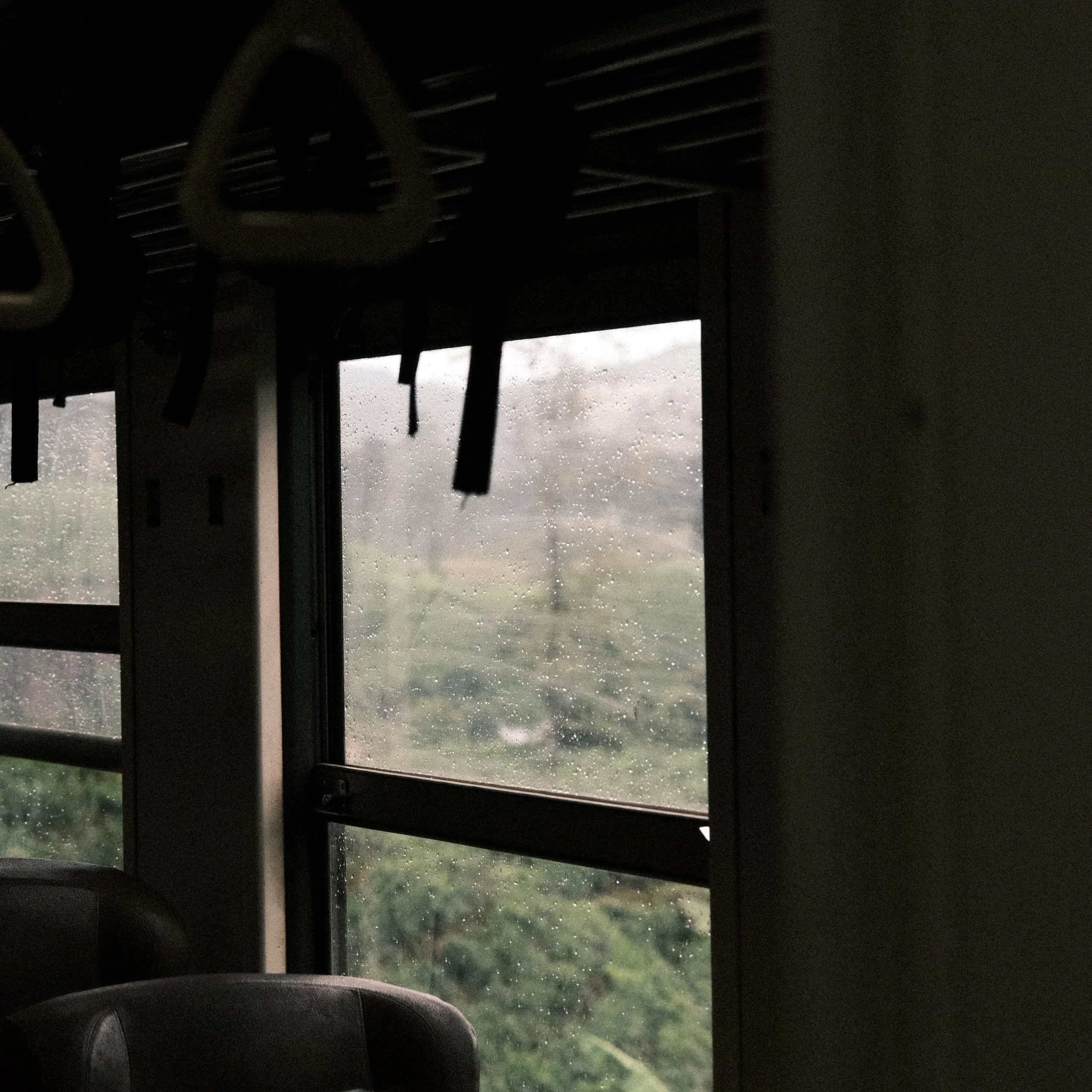 Cultivo de té en Sri Lanka desde el tren entre Ella y Kandy