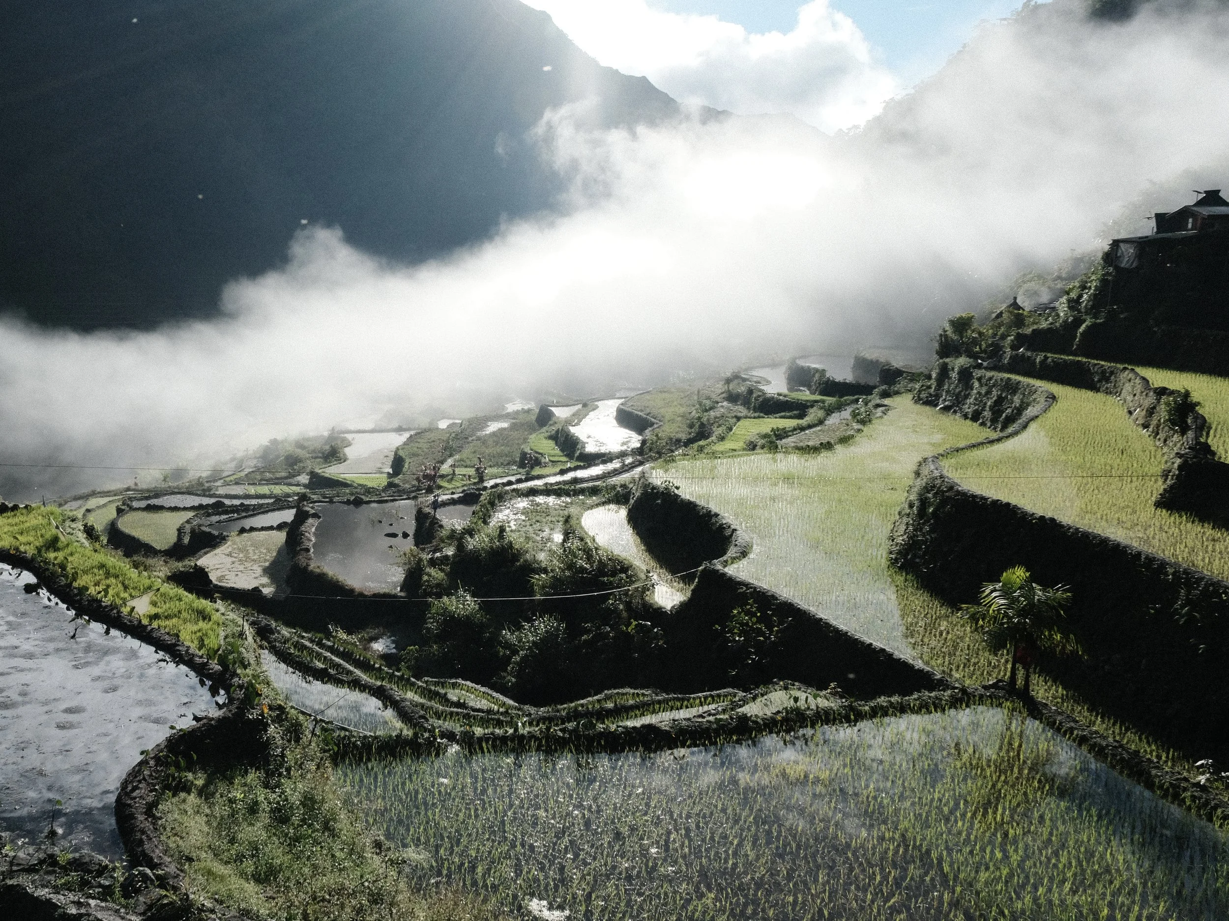 Terrazas de arroz de Batad en las Filipinas.