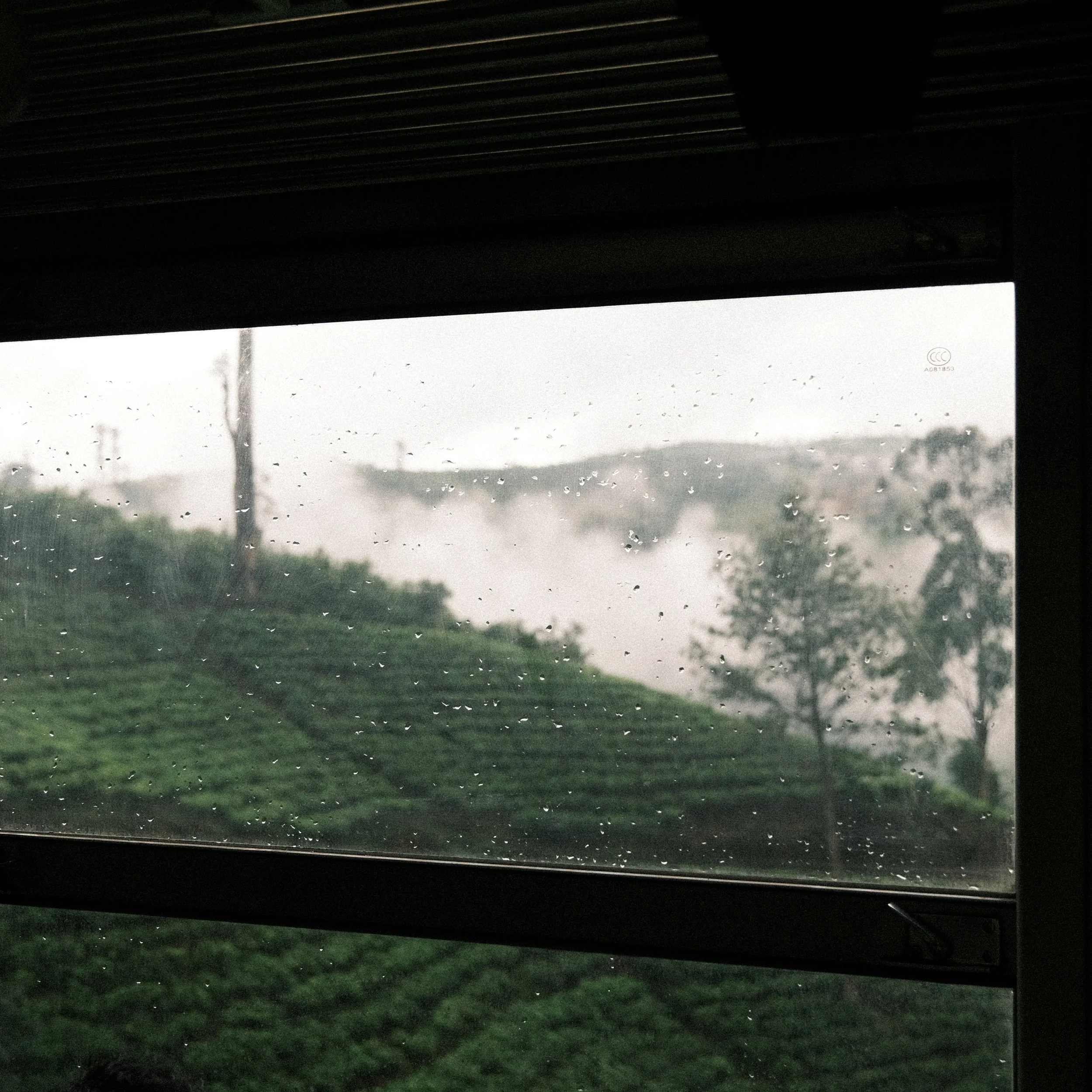 Cultivo de té en Sri Lanka desde el tren entre Ella y Kandy