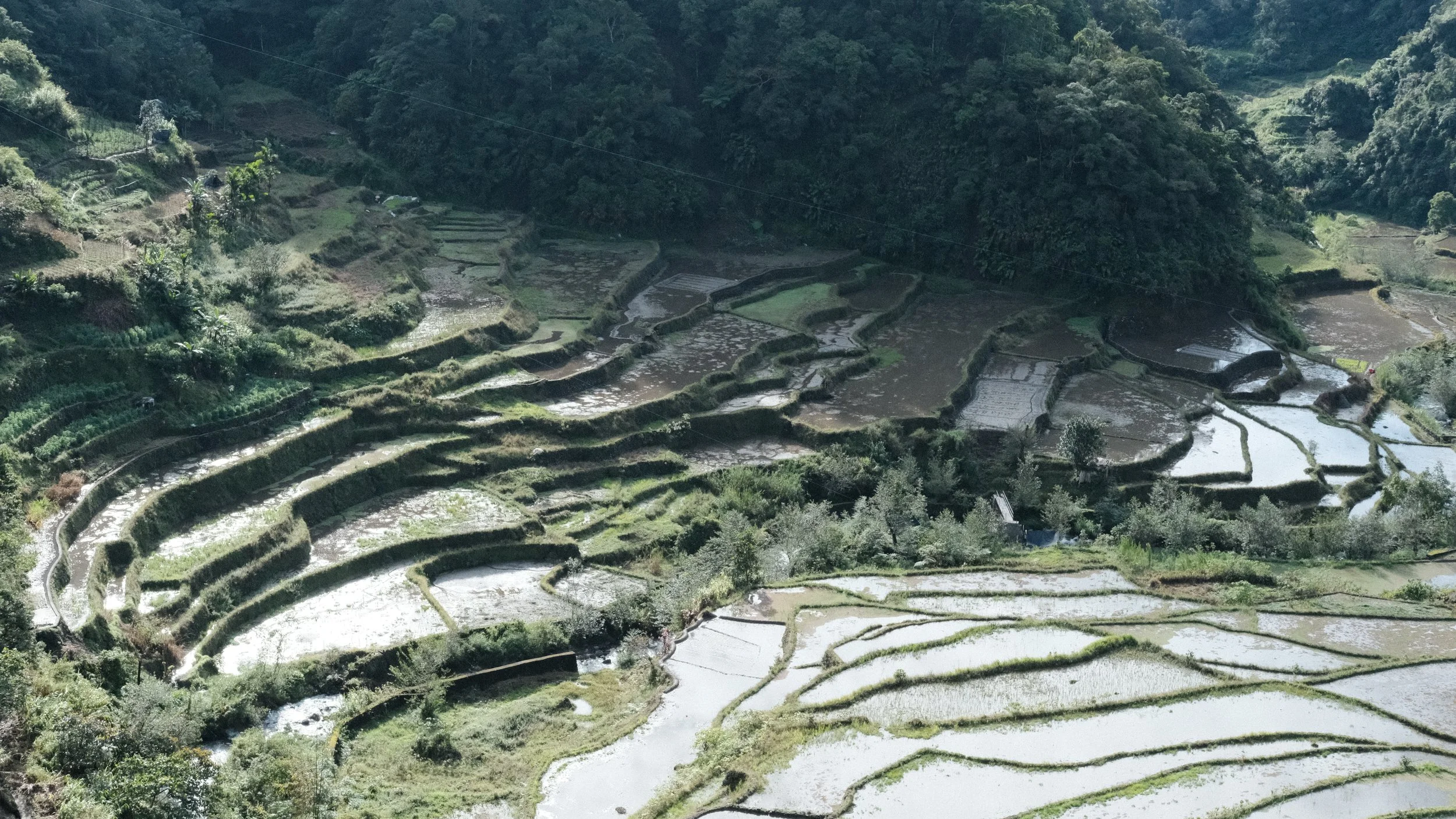 Terrazas de Arroz en Banaue