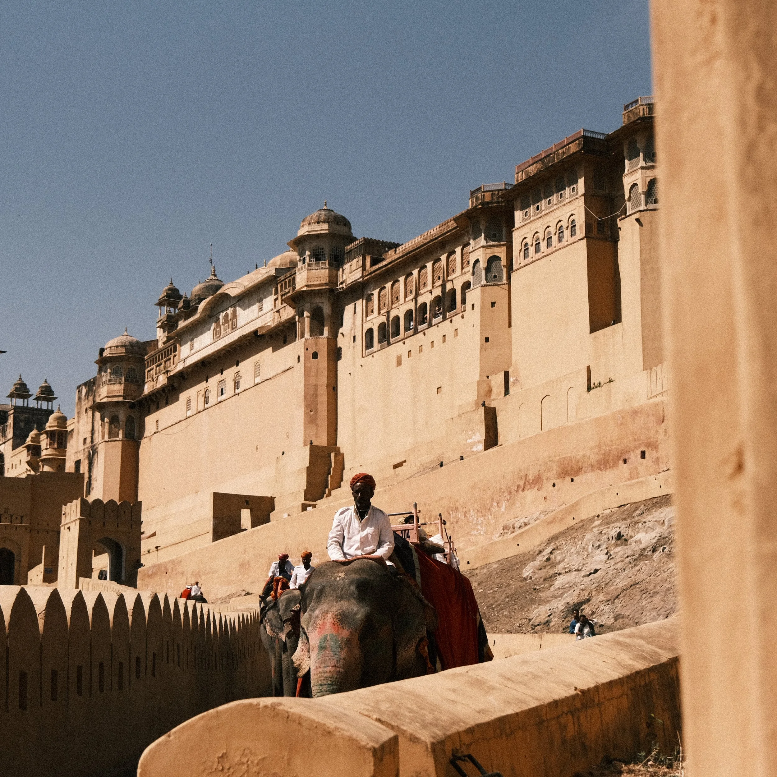 Elefante en el fuerte Amber en Jaipur.