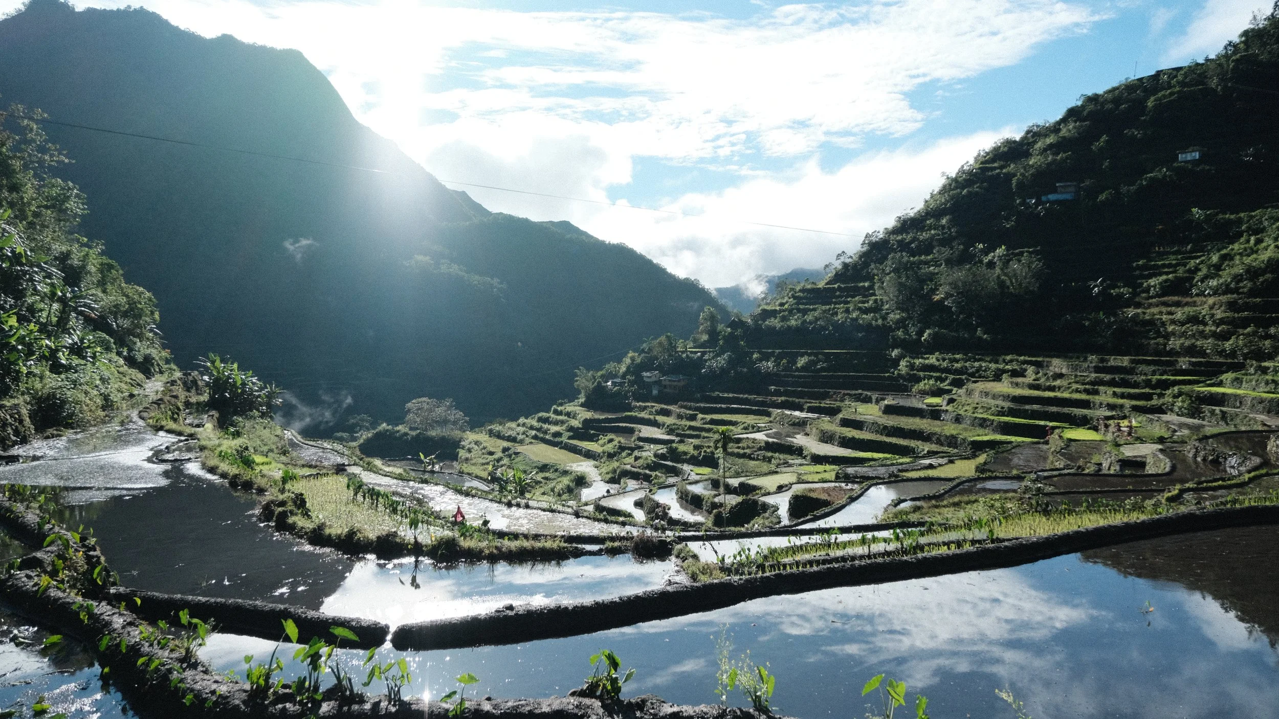 Terrazas de Arroz de Batad al amanecer