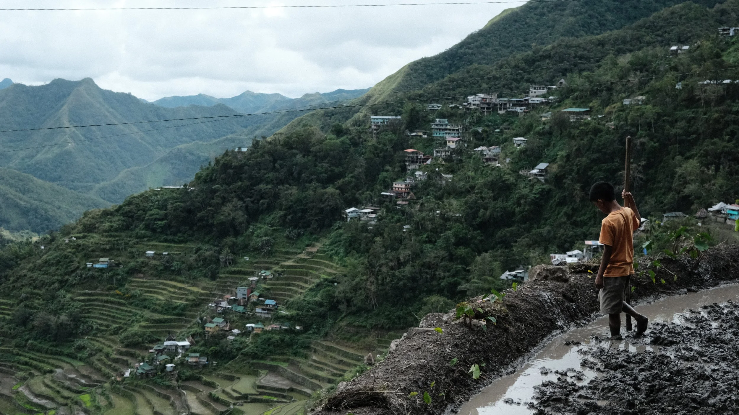 Niño trabajando en las terrazas de arroz de Batad en las Filipinas.