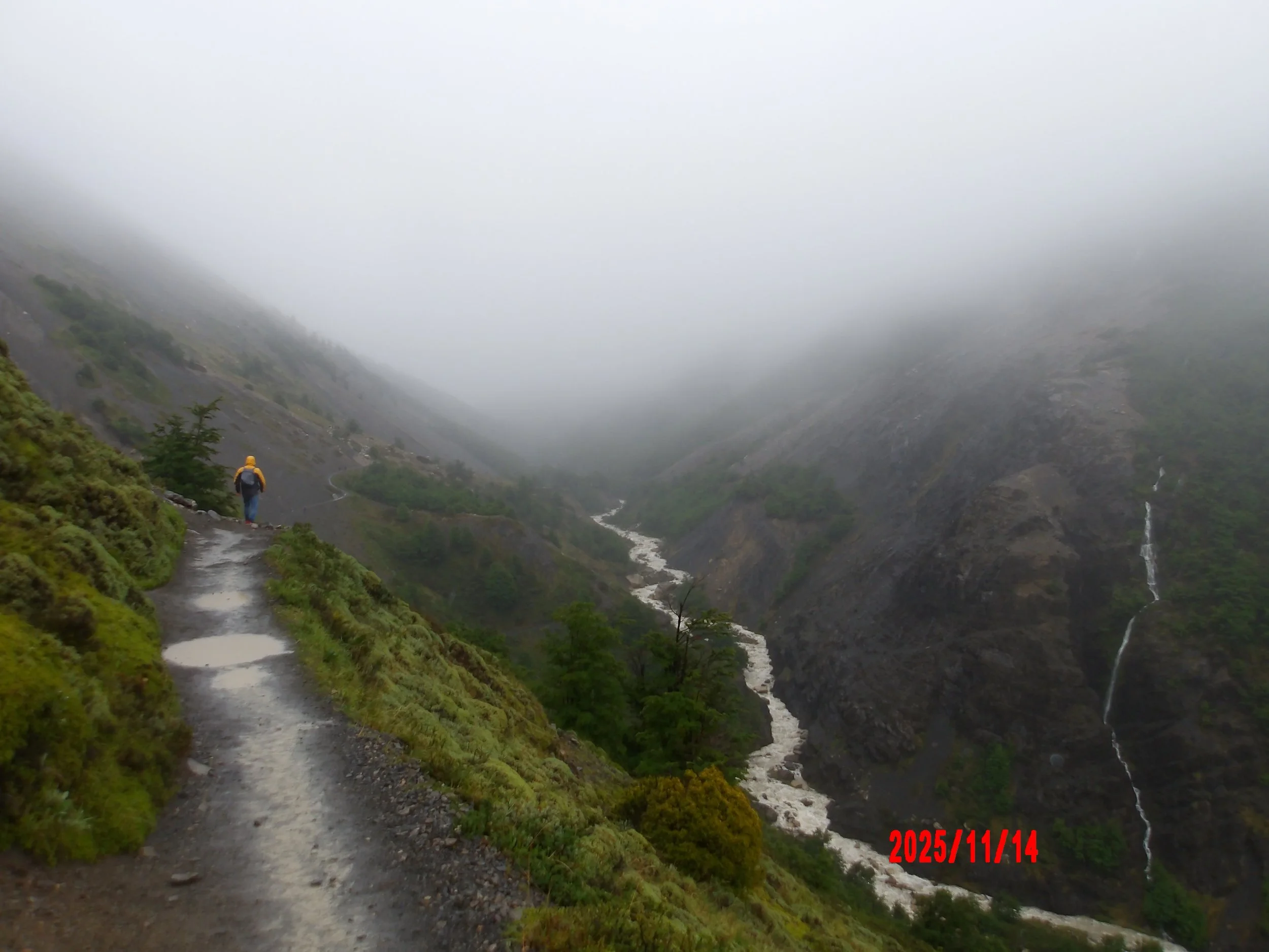 Sendero en día lluvioso, en W trek, en Torres del Paine, Patagonia, Chile.