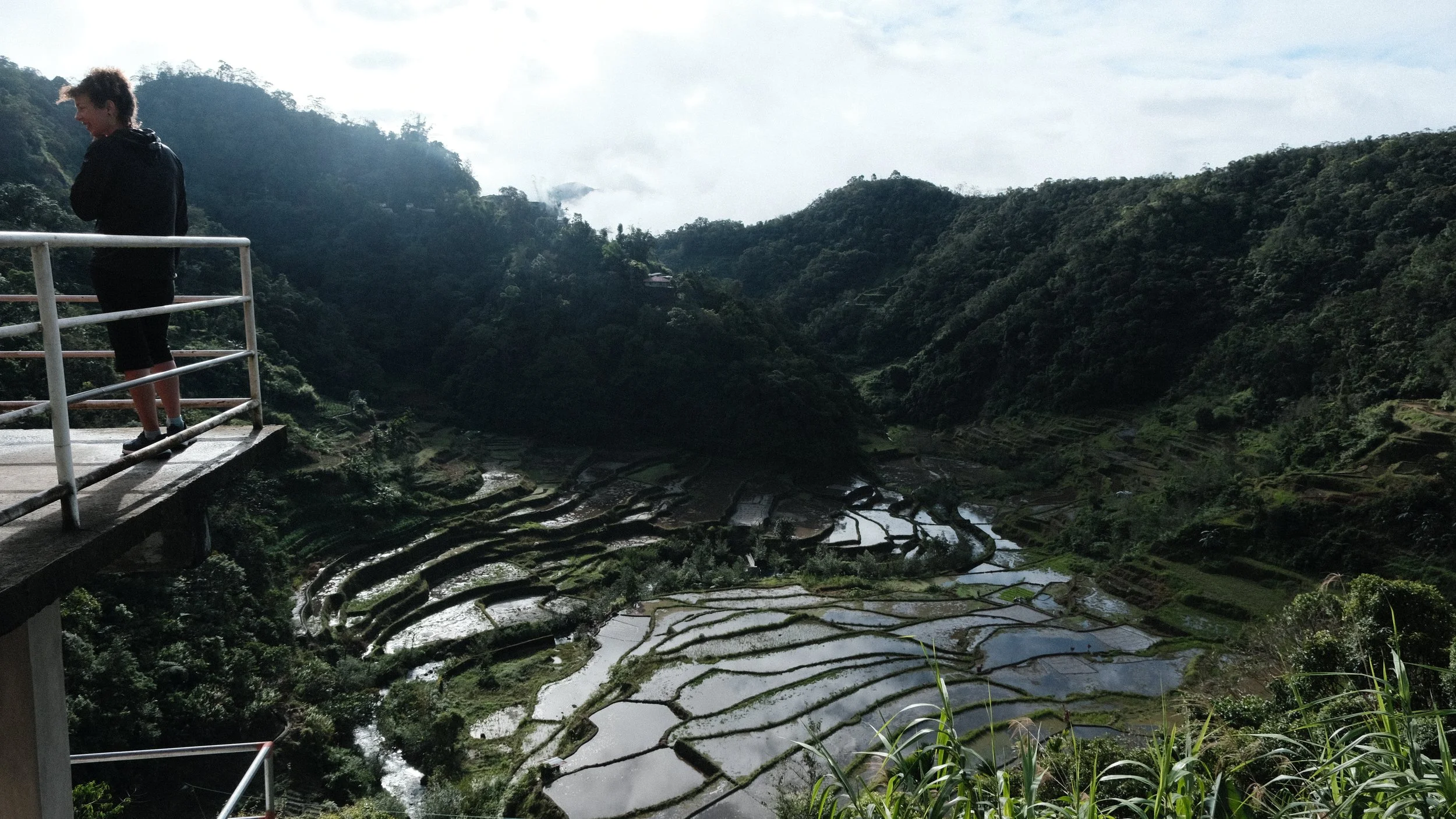 Plataforma de observación en las terrazas de arroz de Banaue, Filipinas.