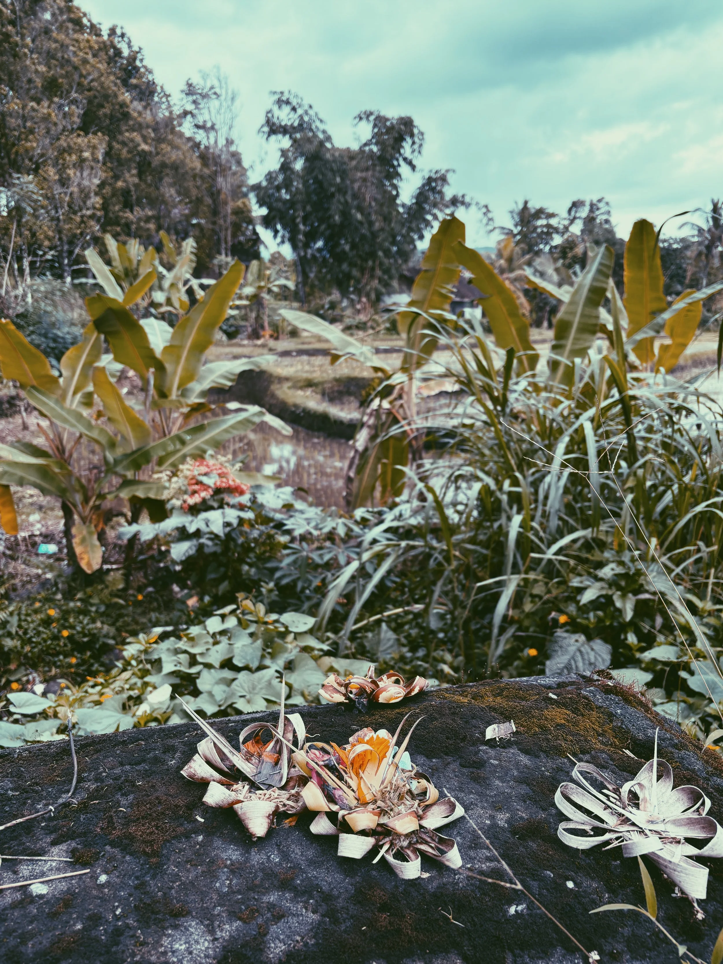 Ofrenda budista en Bali.