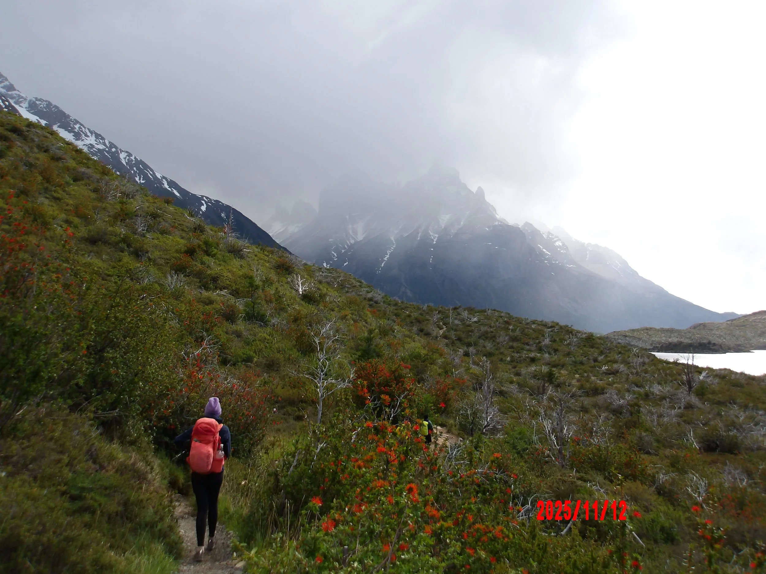 Persona caminando en el W trek con una montaña al fondo
