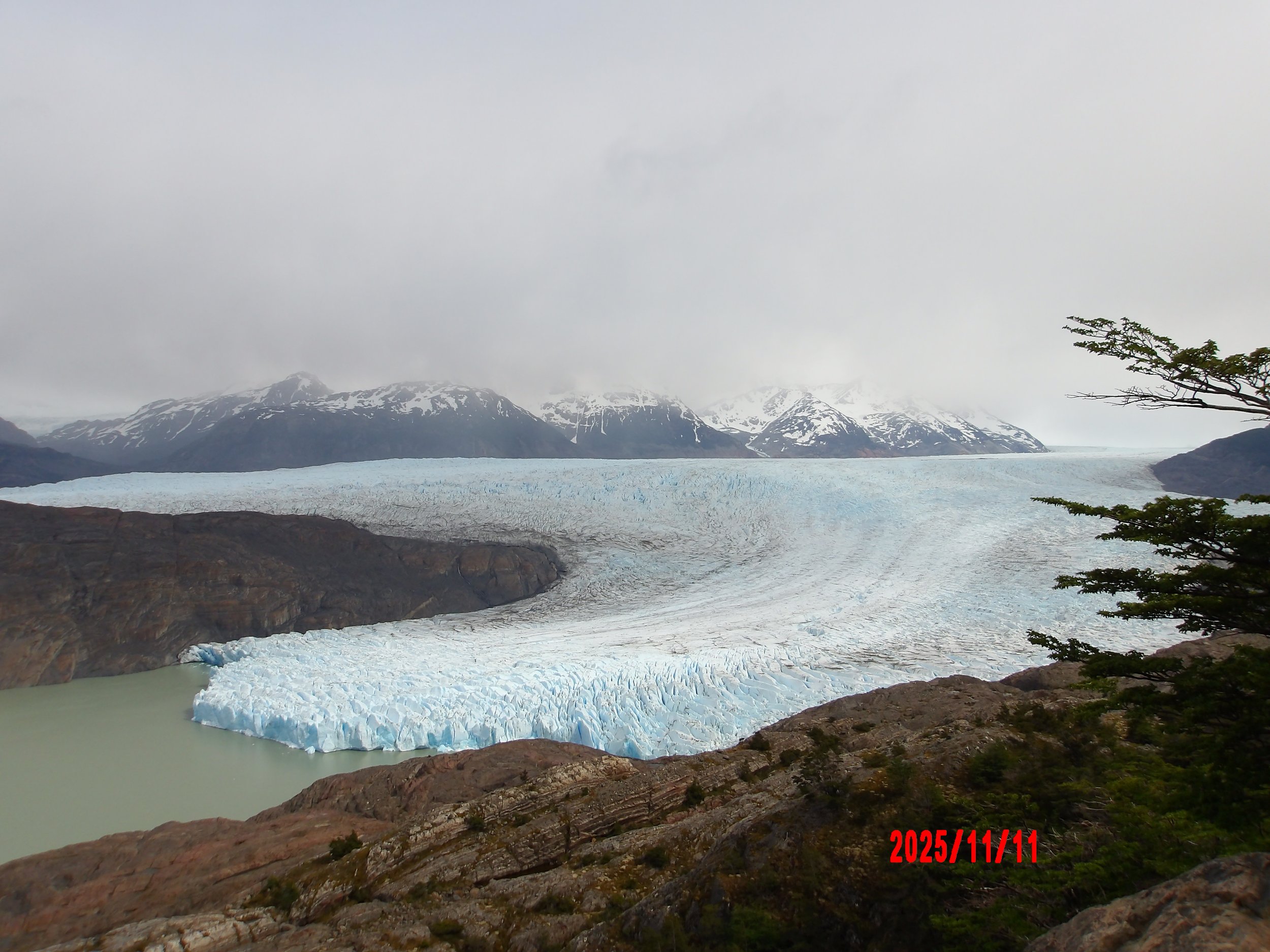 Glaciar Grey en el W trek