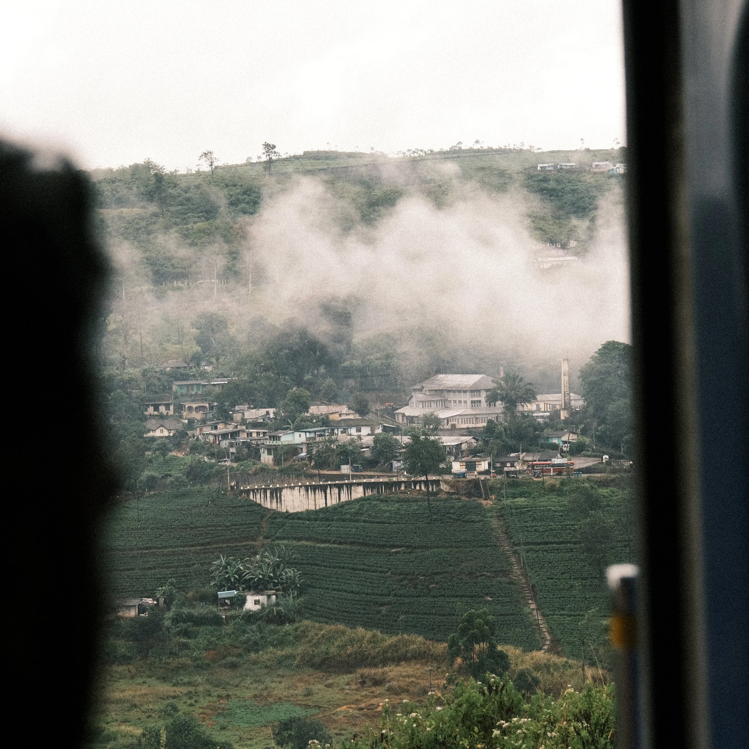 Cultivo de té en Sri Lanka desde el tren entre Ella y Kandy