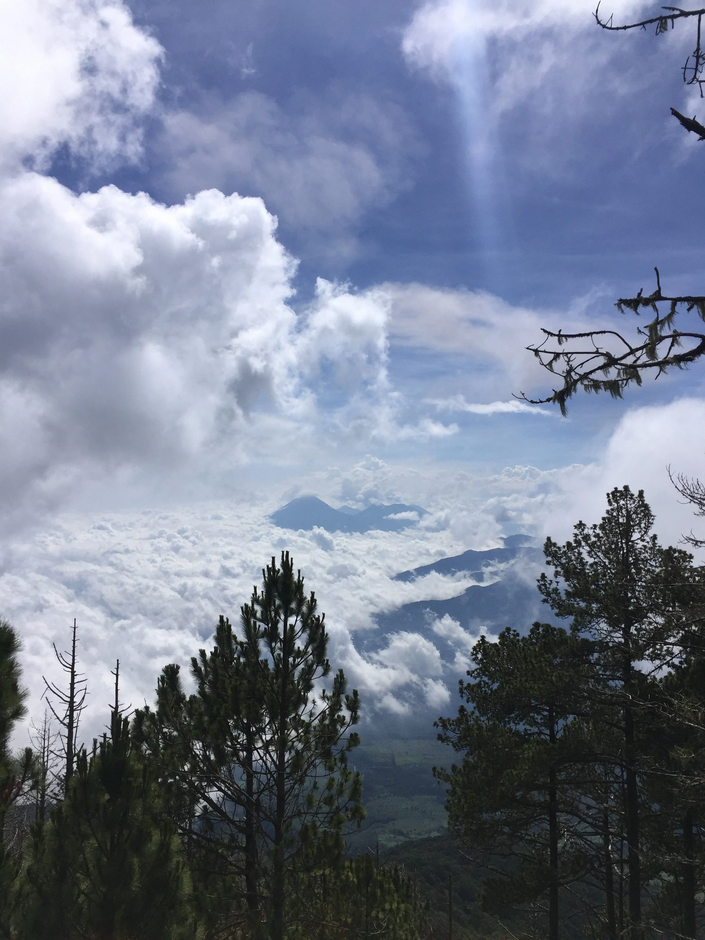Bosque y vista en el camino al volcán Acatenango en Guatemala.
