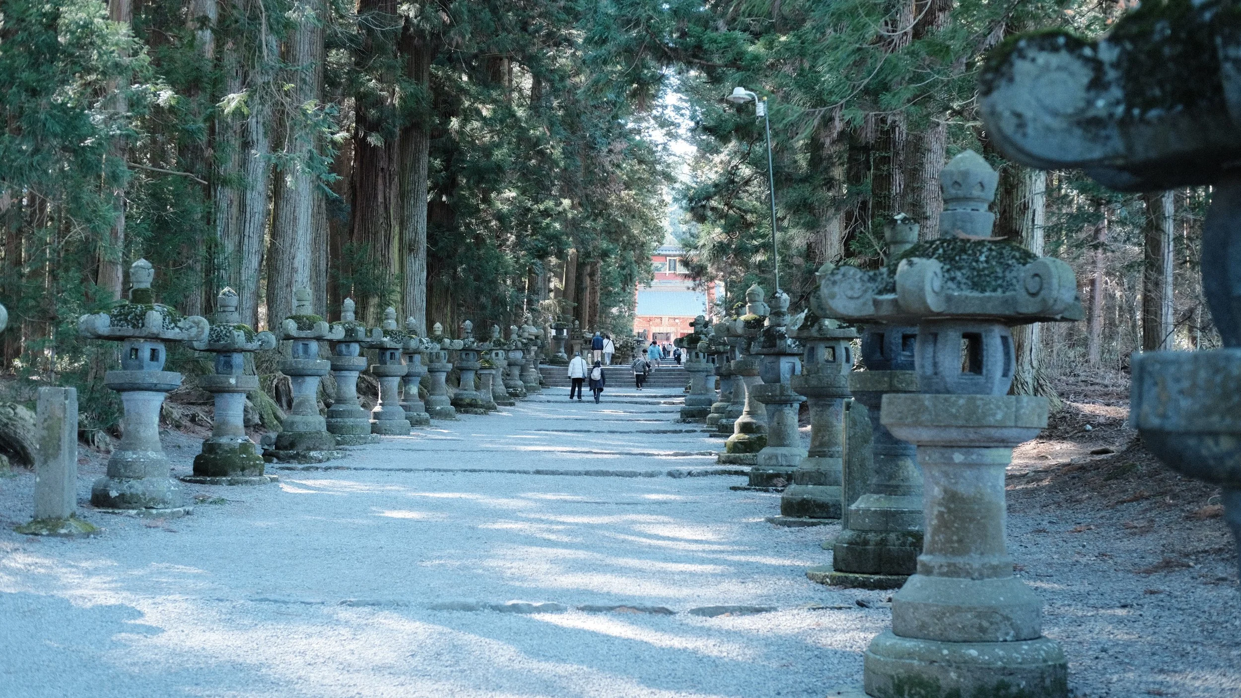 Sendero en Japón con linternas de piedra.