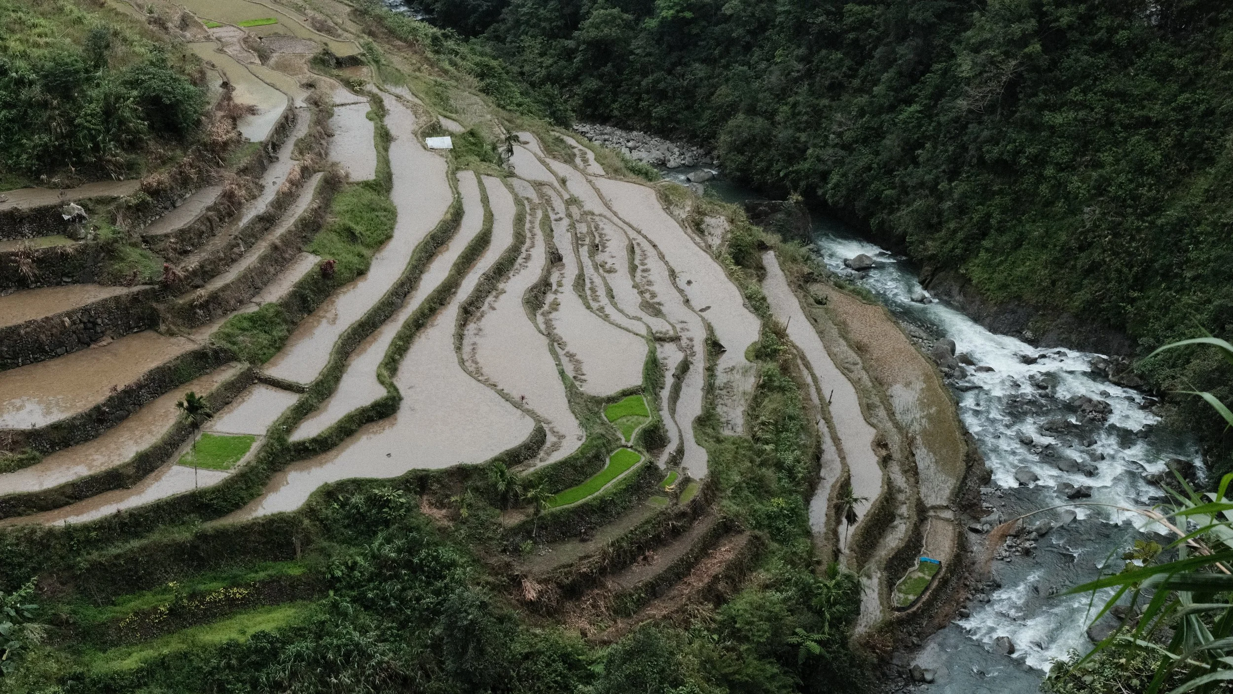Terrazas de arroz de Batad en las Filipinas.
