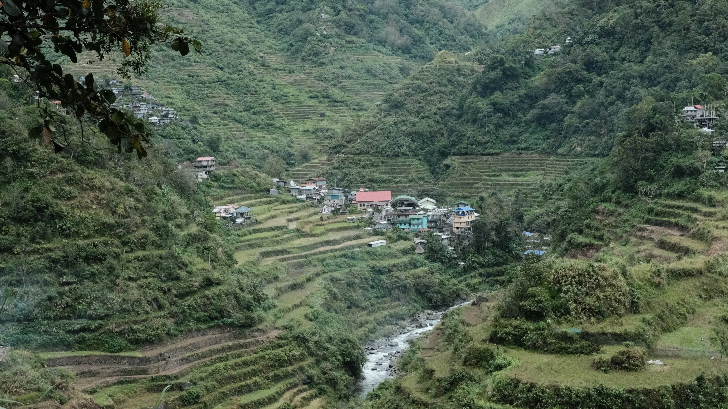 Terrazas de arroz en las Filipinas.