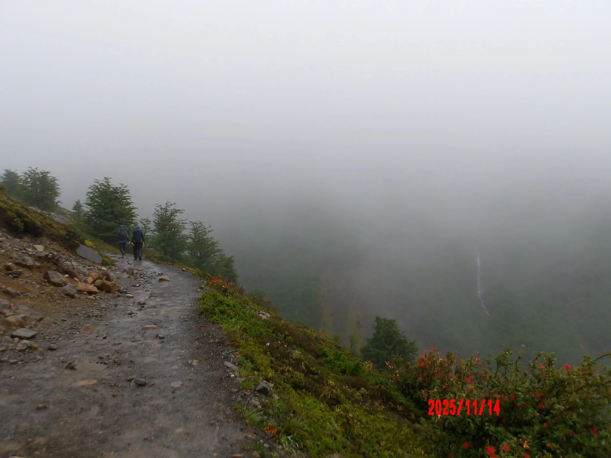 Sendero en día lluvioso en Torres del Paine, W trek, Patagonia, Chile.