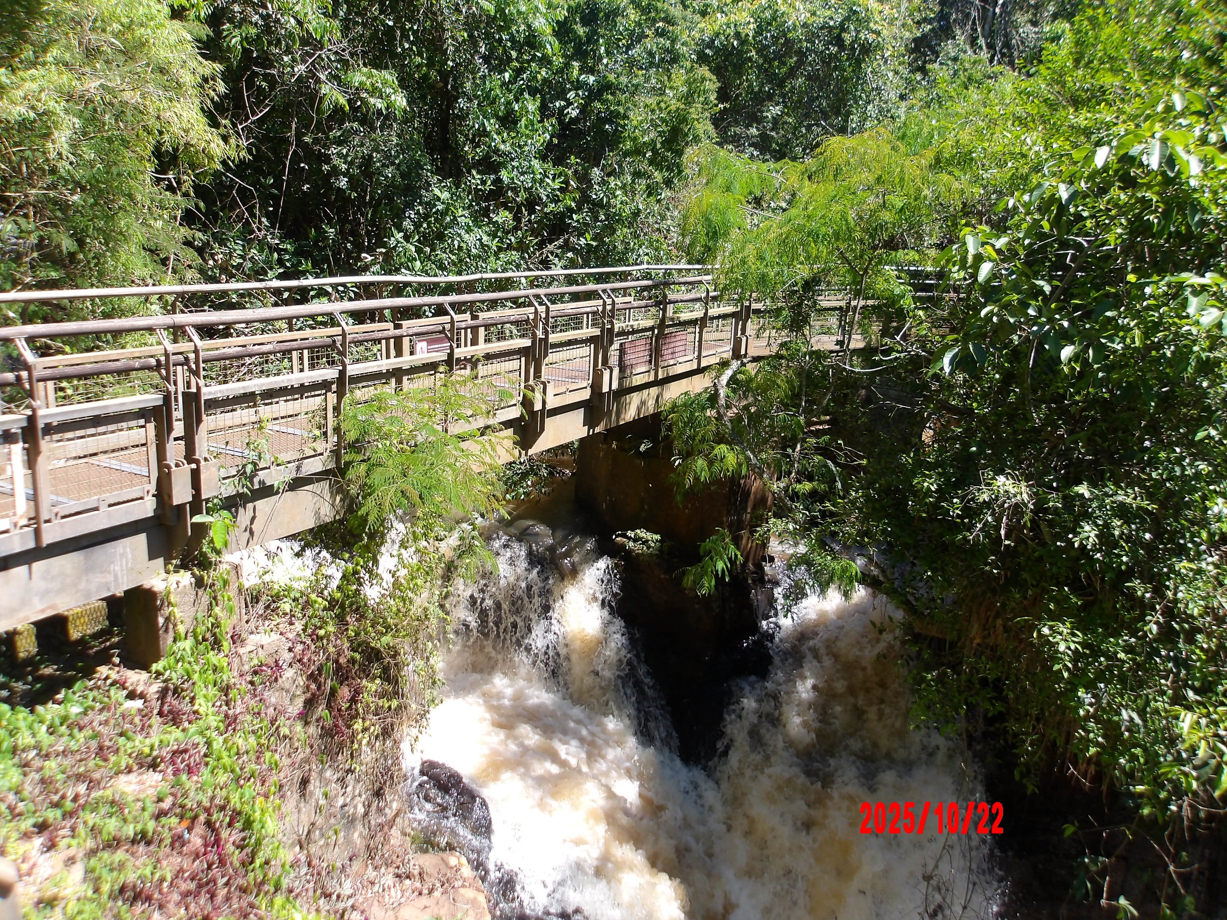 Pasarela en las cataratas del Iguazú