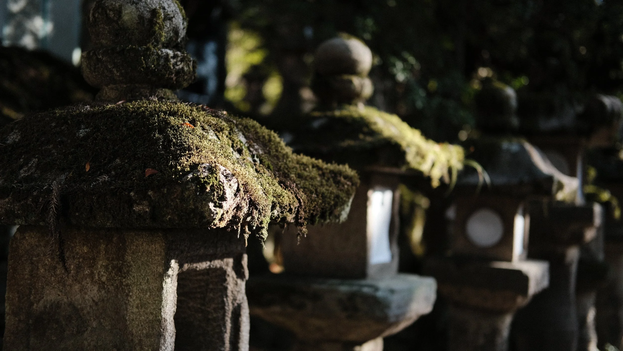 Linternas cubiertas de musgo en un templo de Nara