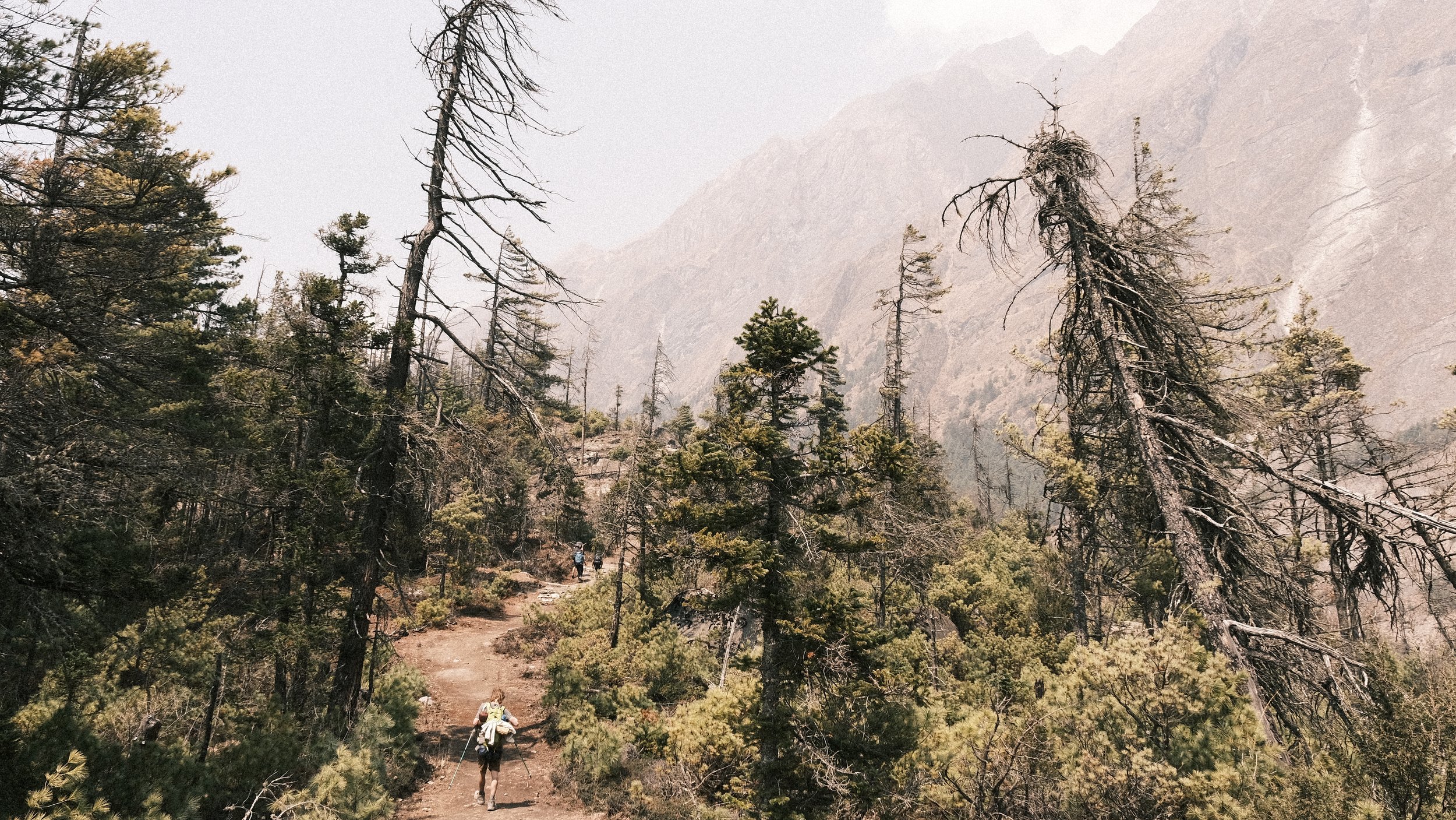 Sendero en el bosque, en Nepal.