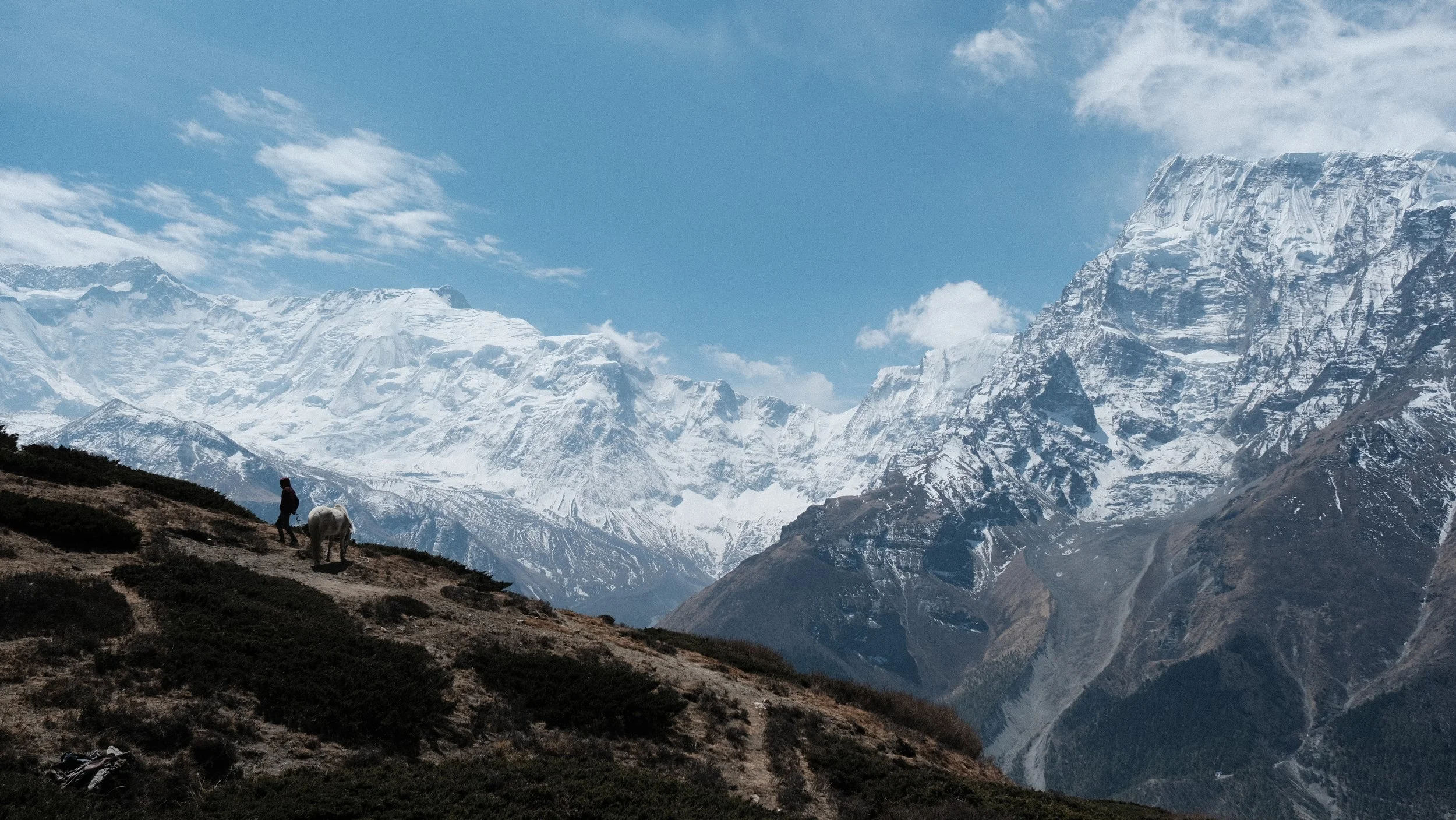 Hombre con burro, y montañas nevadas al fondo. En Nepal.