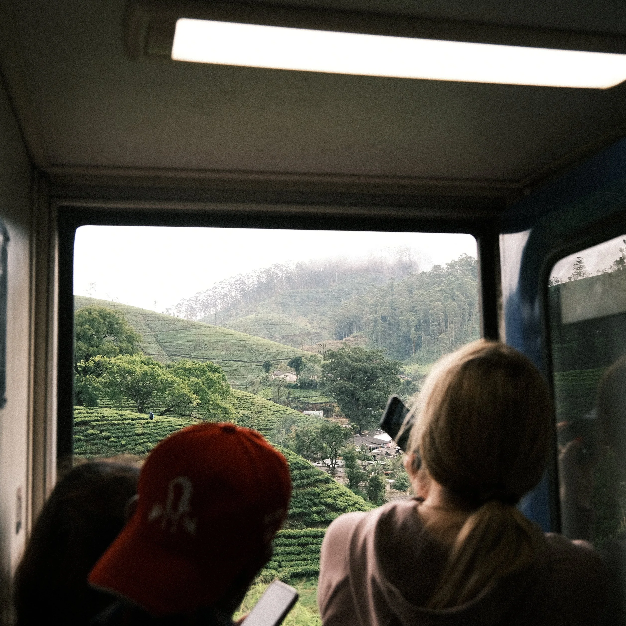 Personas viendo cultivos de té en el tren de Ella a Kandy