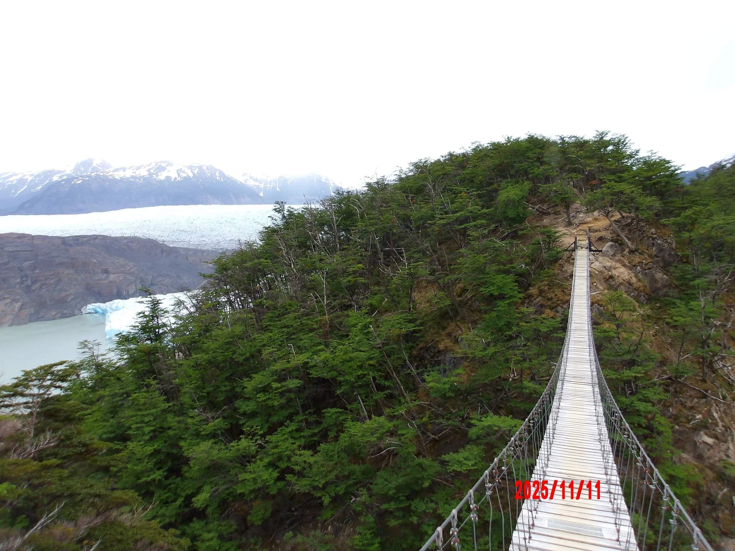 Puente colgante con vista al glaciar grey