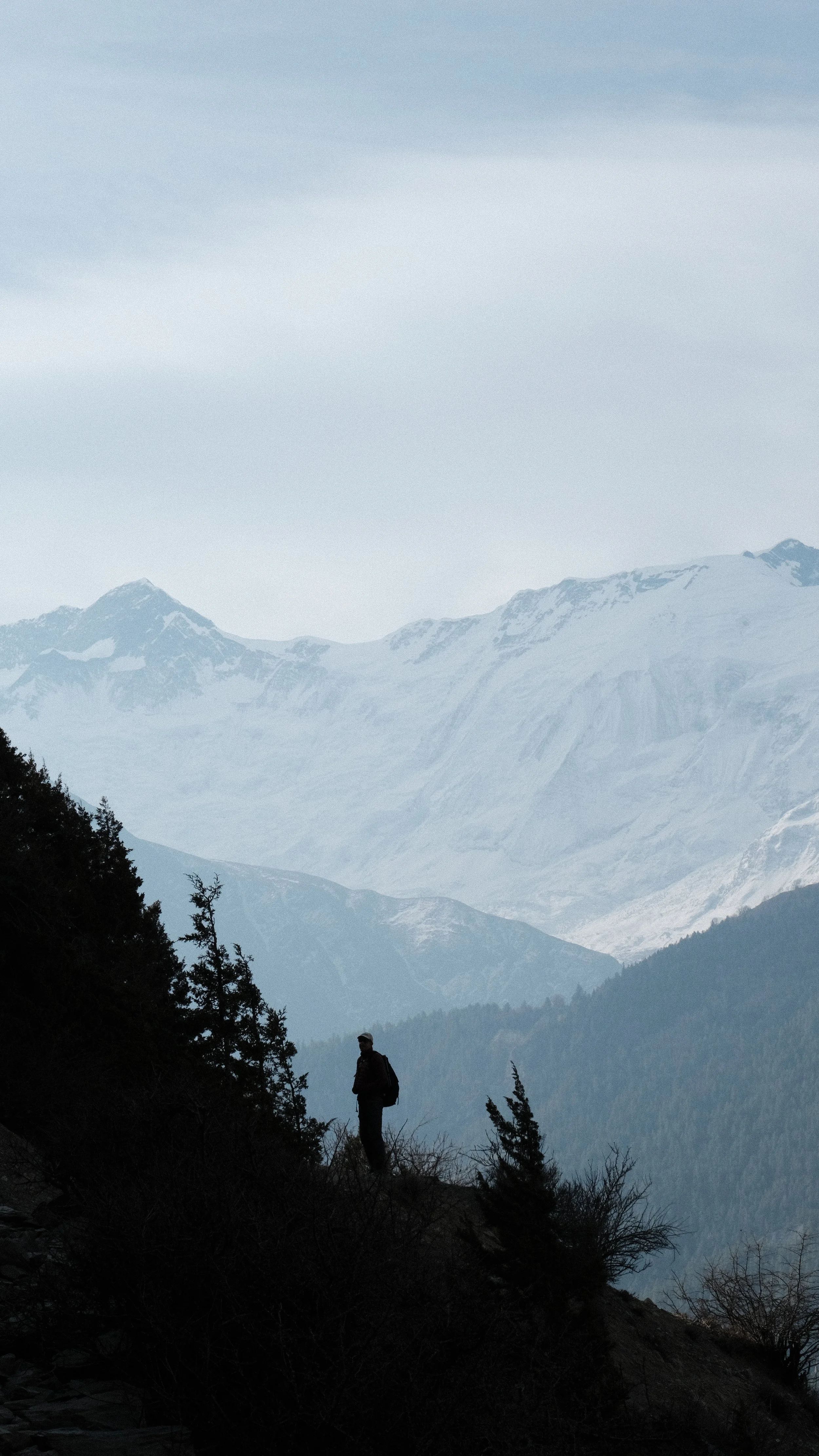 Persona en el circuito de Annapurna con los himalayas al fondo