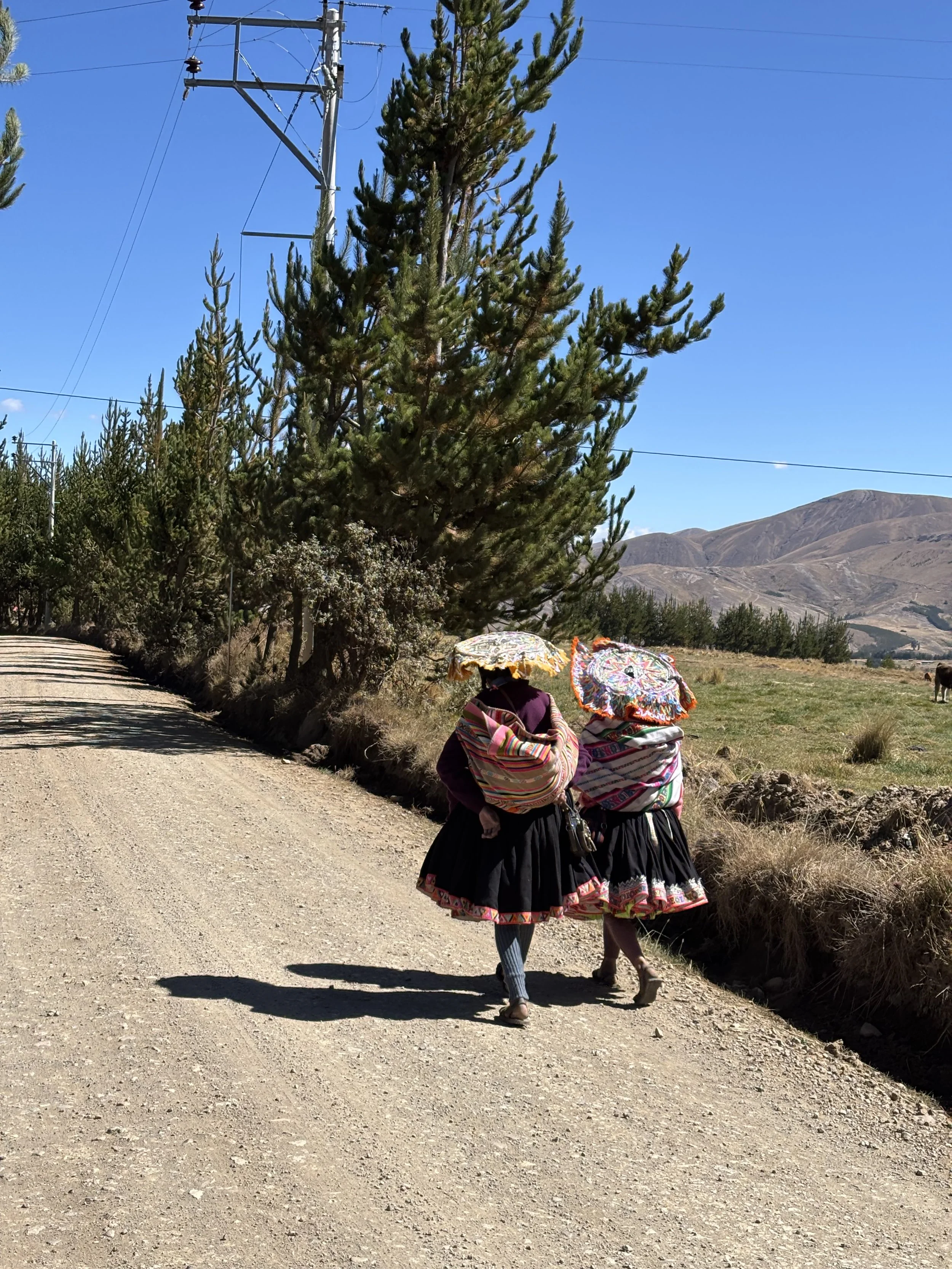 Mujeres con vestidos tradicionales caminando en el campo en Perú.