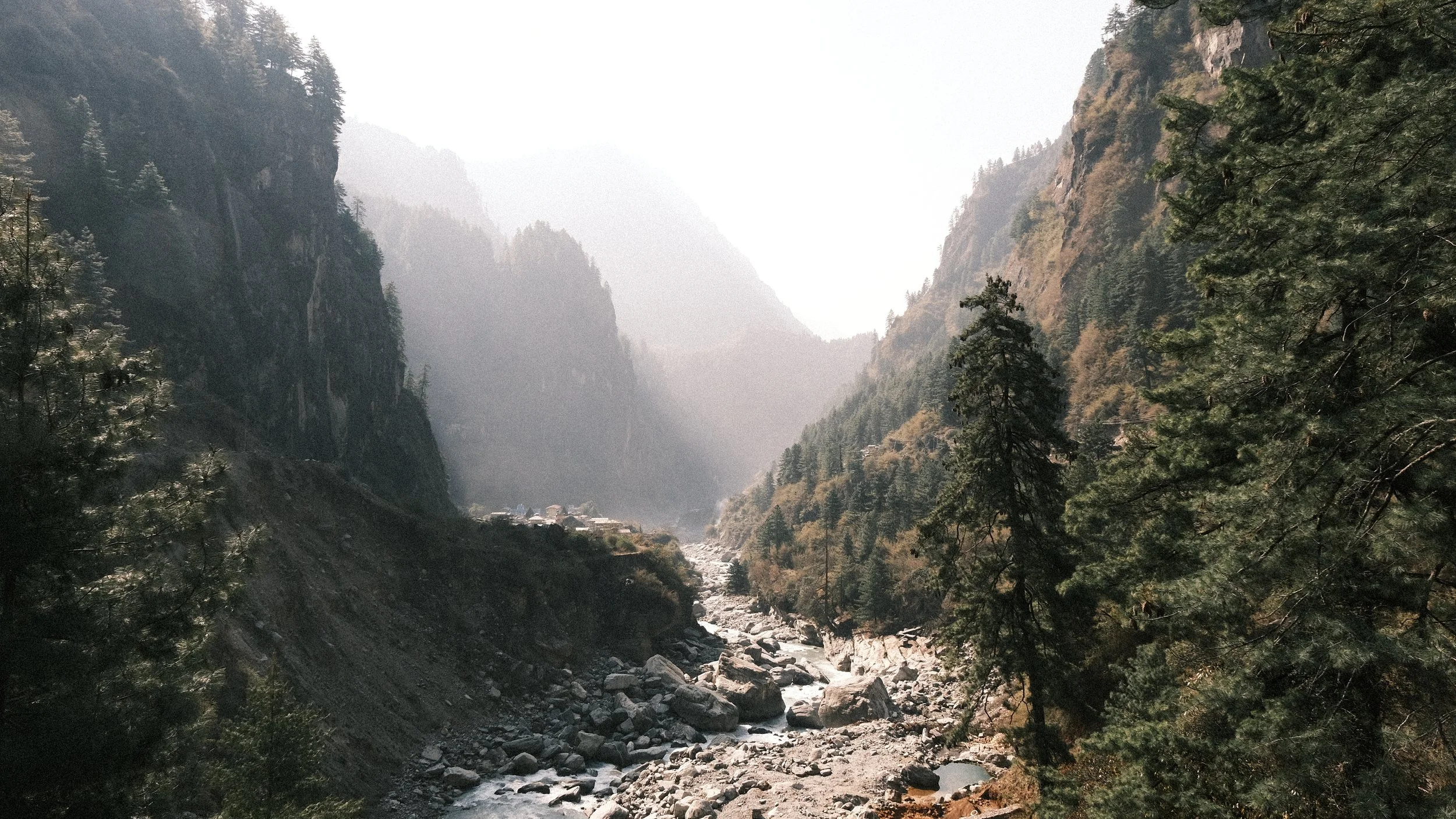 Valle boscoso con rio.