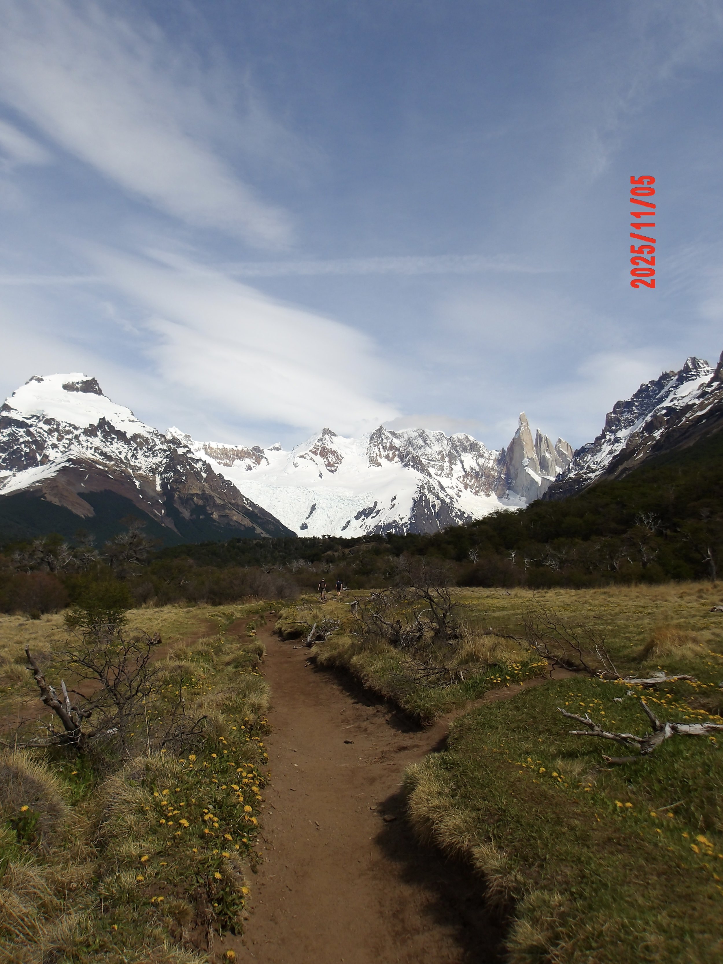 Sendero a Laguna Torre con montañas y glaciares al fondo en Patagonia, Argentina.