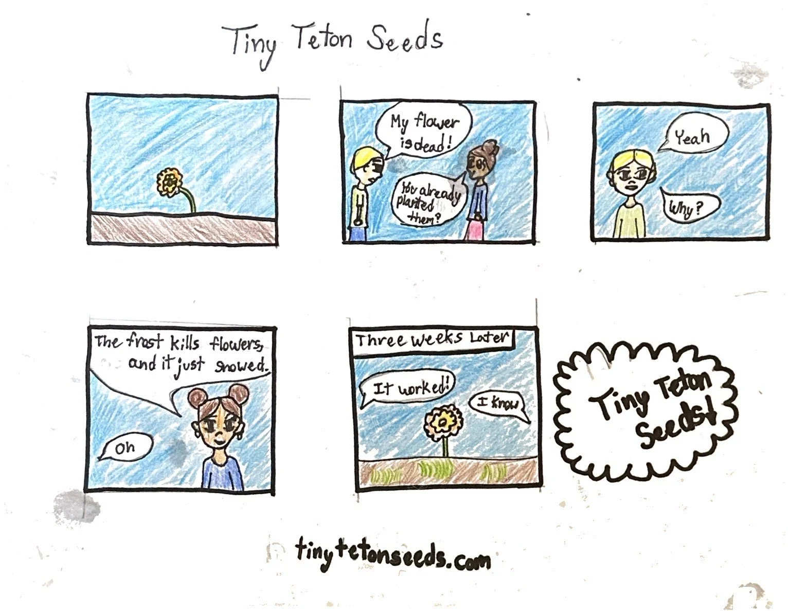 Welcome to the Tiny Teton comic kingdom!
