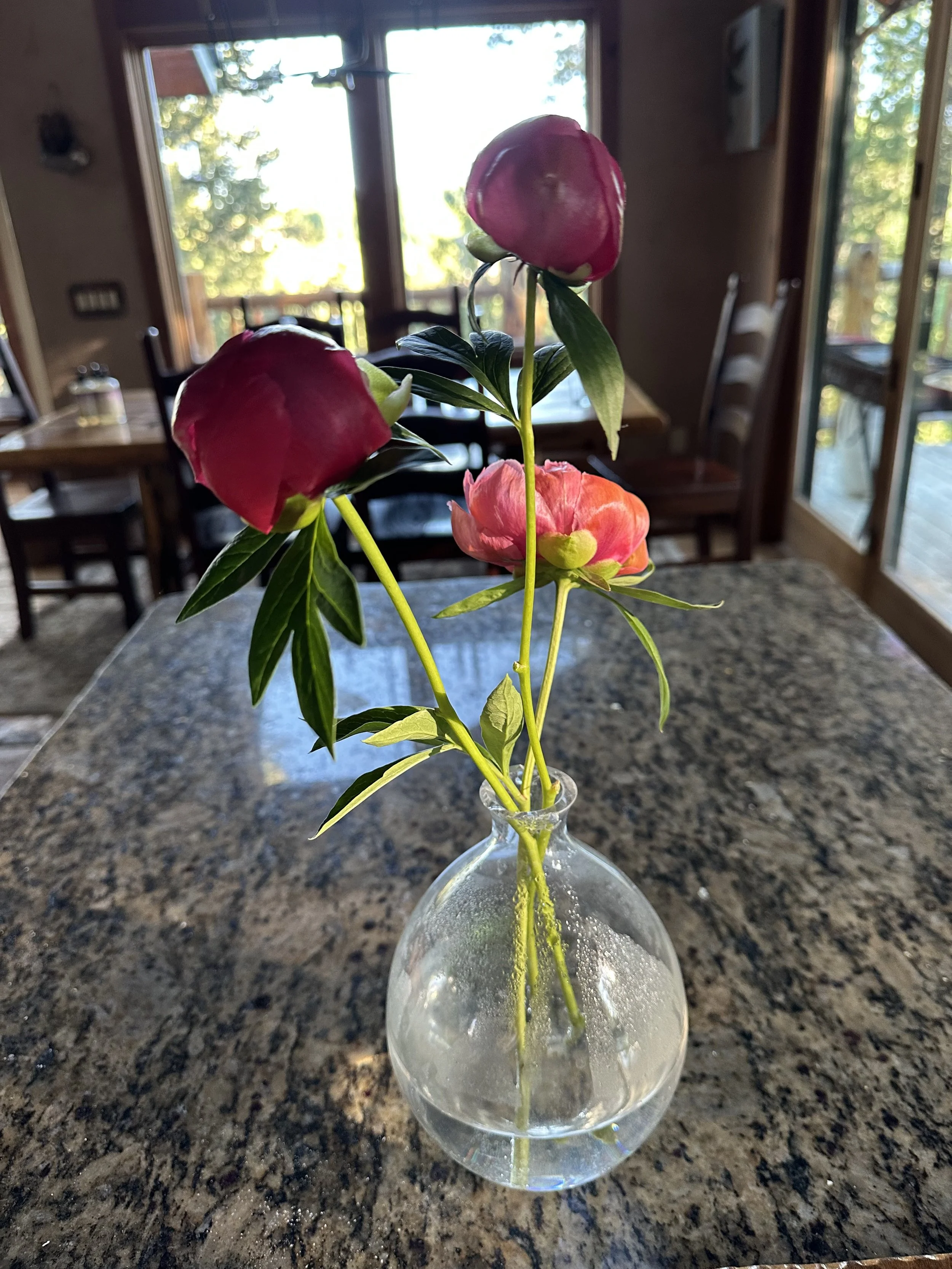 Peony.jpeg