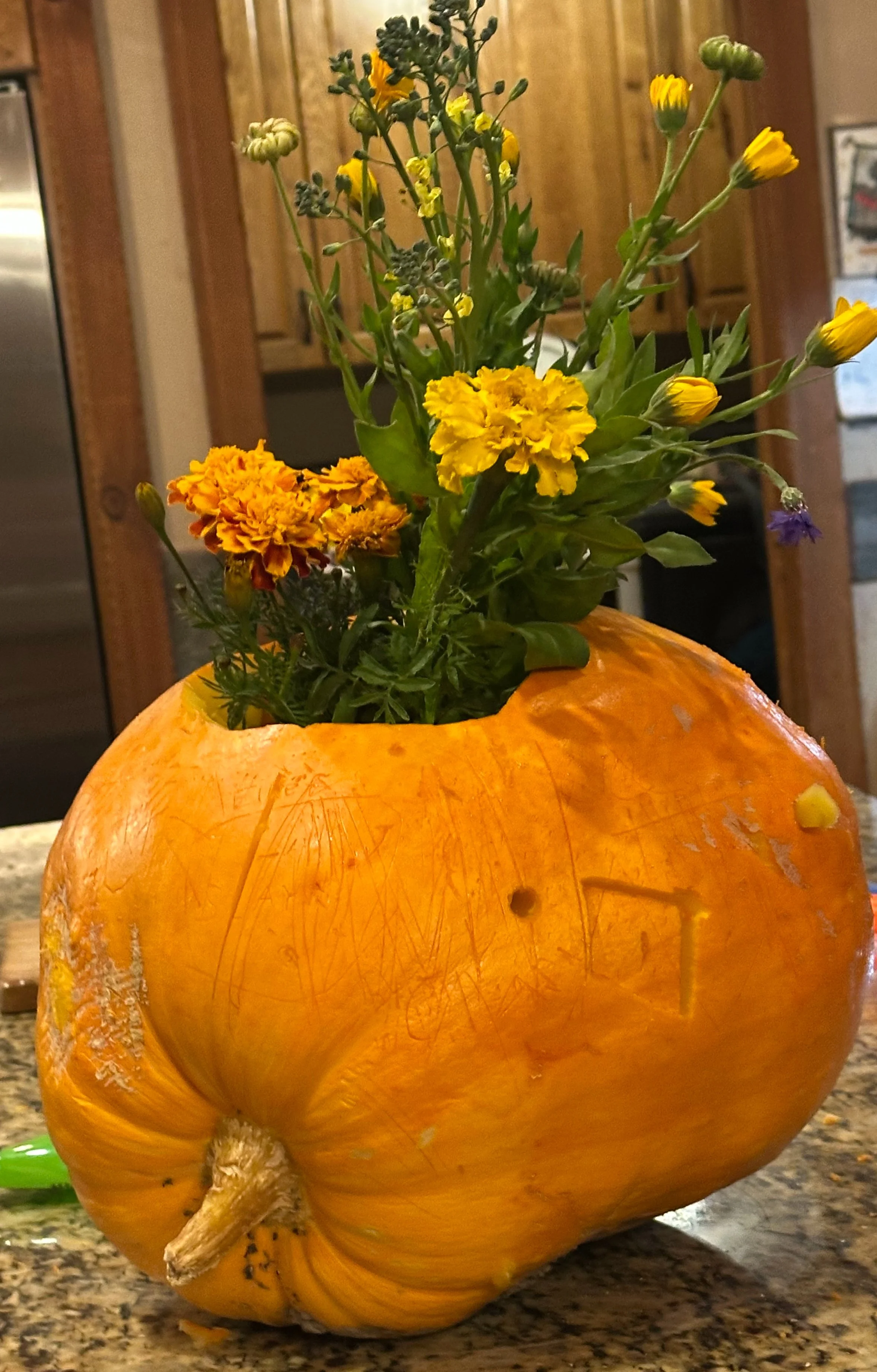Pumpkin Pot .jpeg