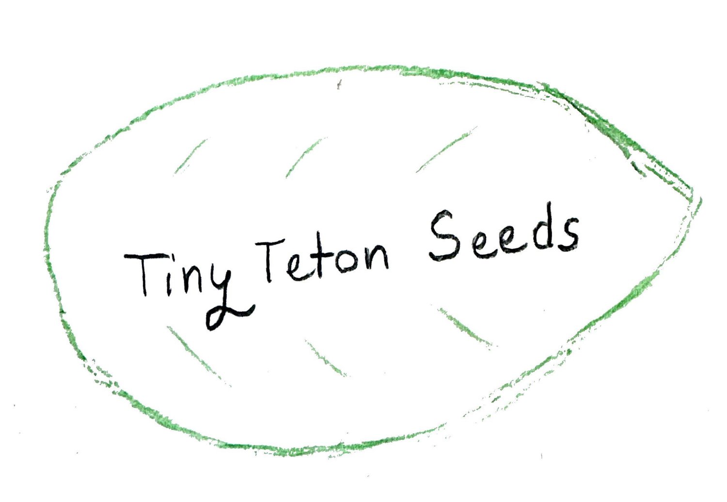 Tiny Teton Seeds 