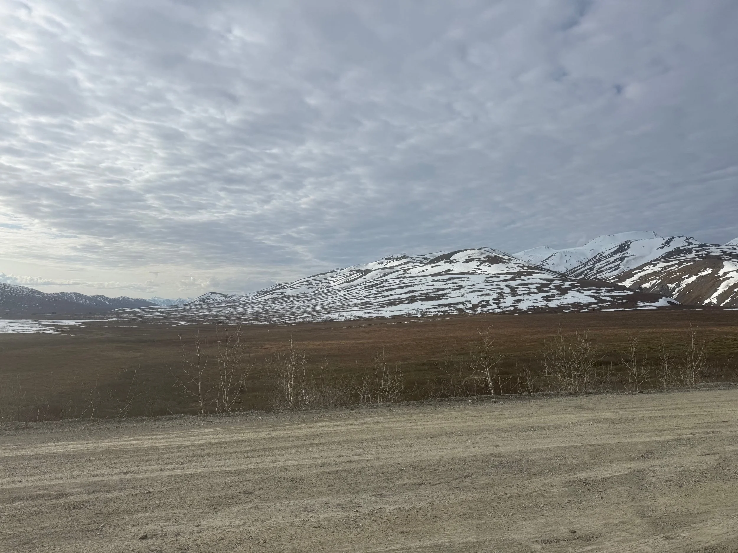 IMG_0902.jpeg
