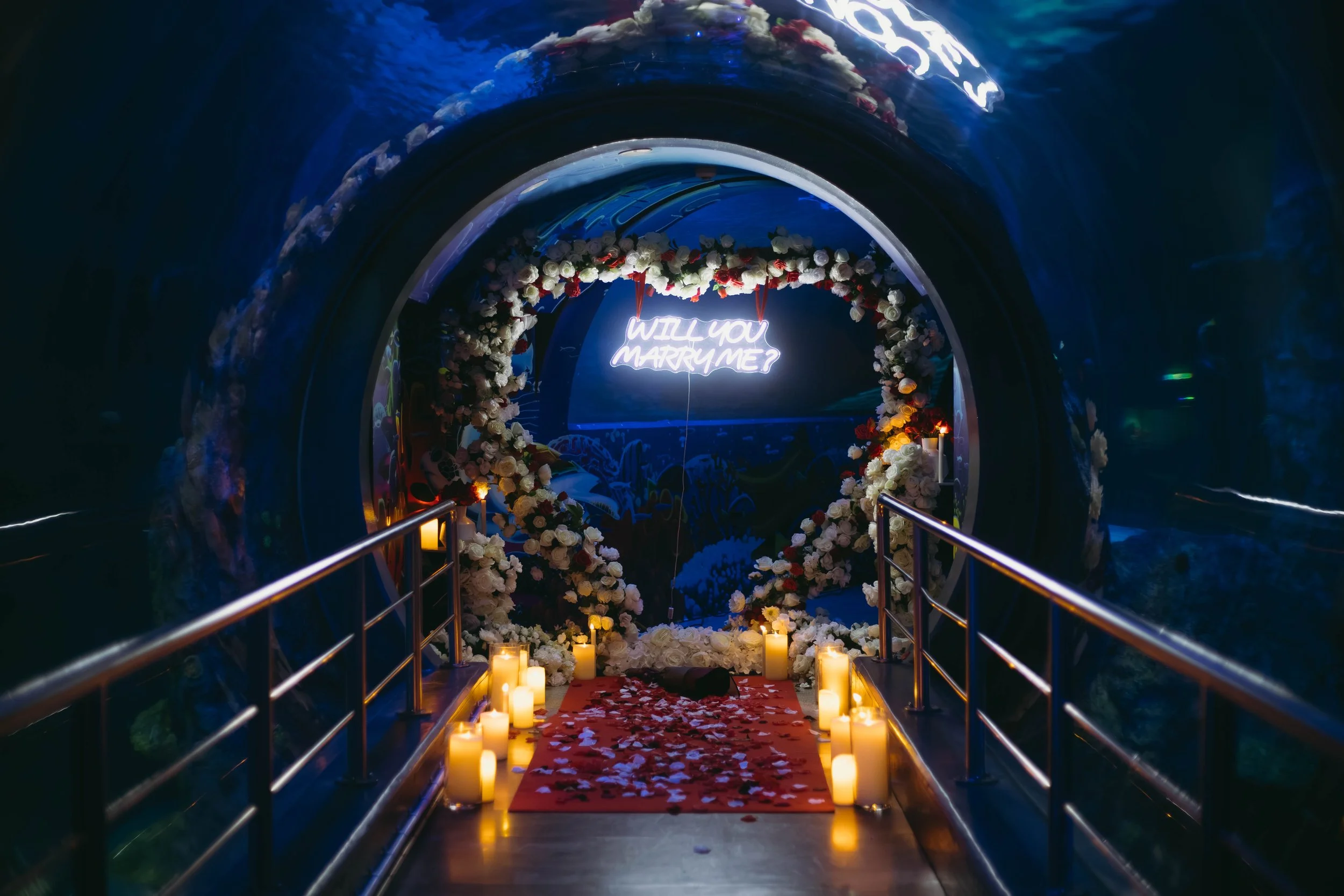 melbourne-aquarium-engagement (13).jpg