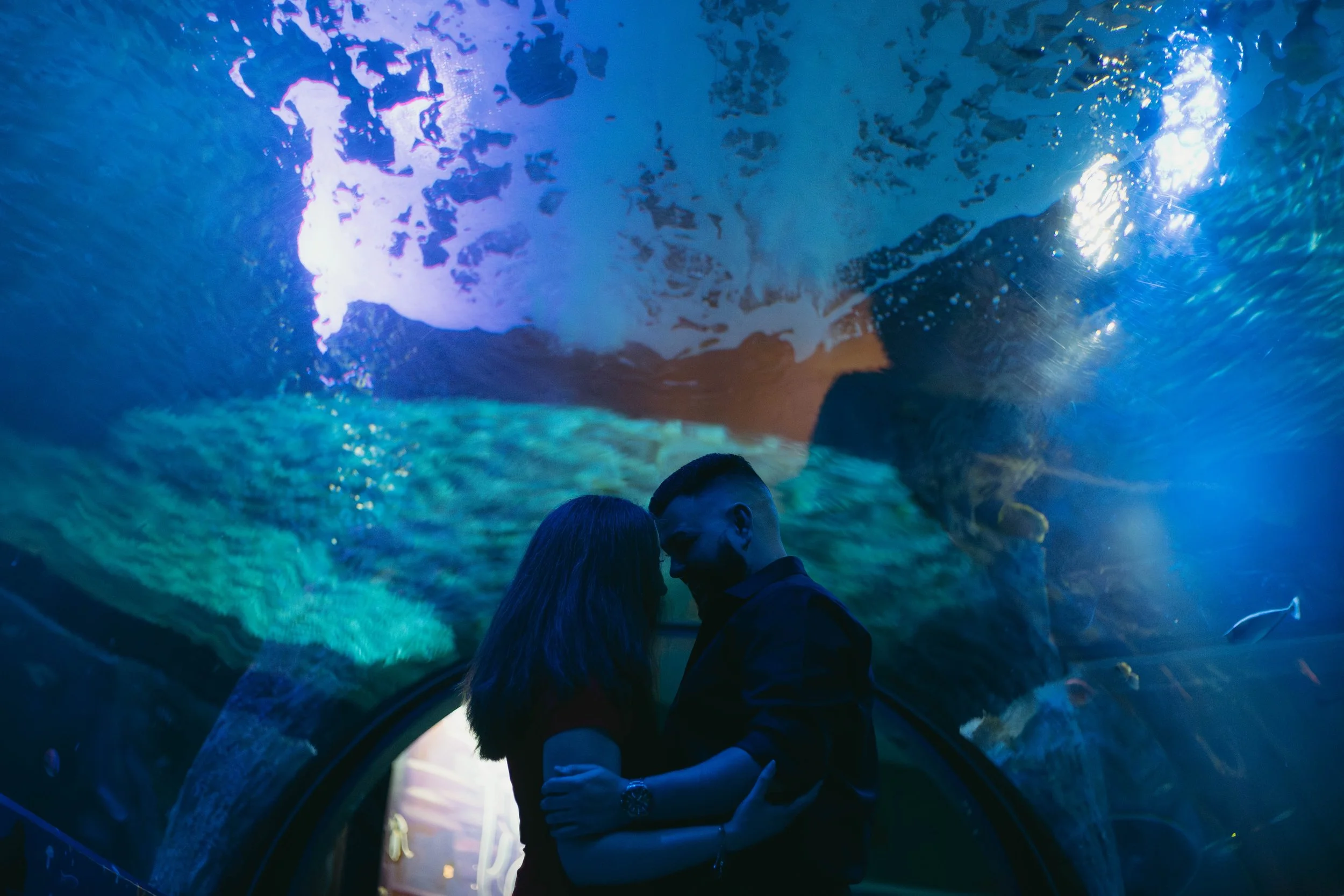 melbourne-aquarium-engagement (25).jpg