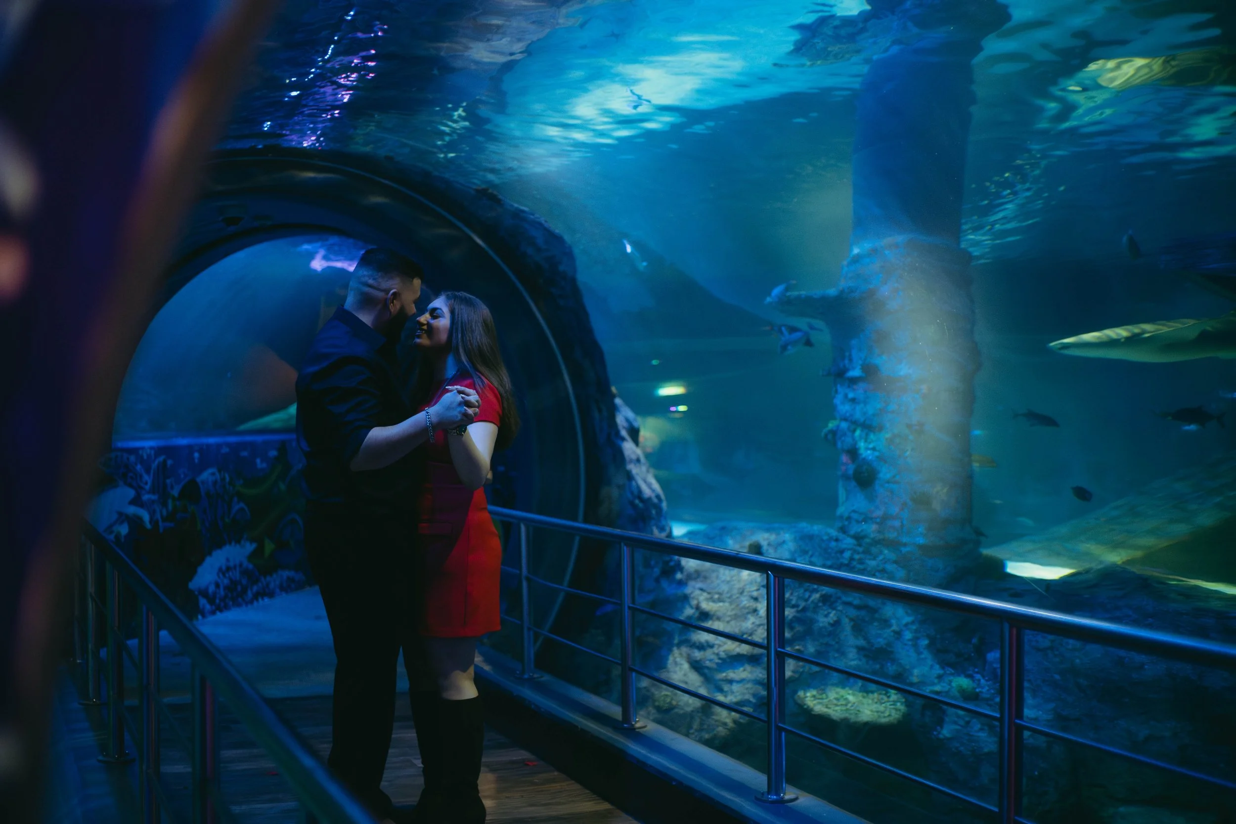 melbourne-aquarium-engagement (46).jpg